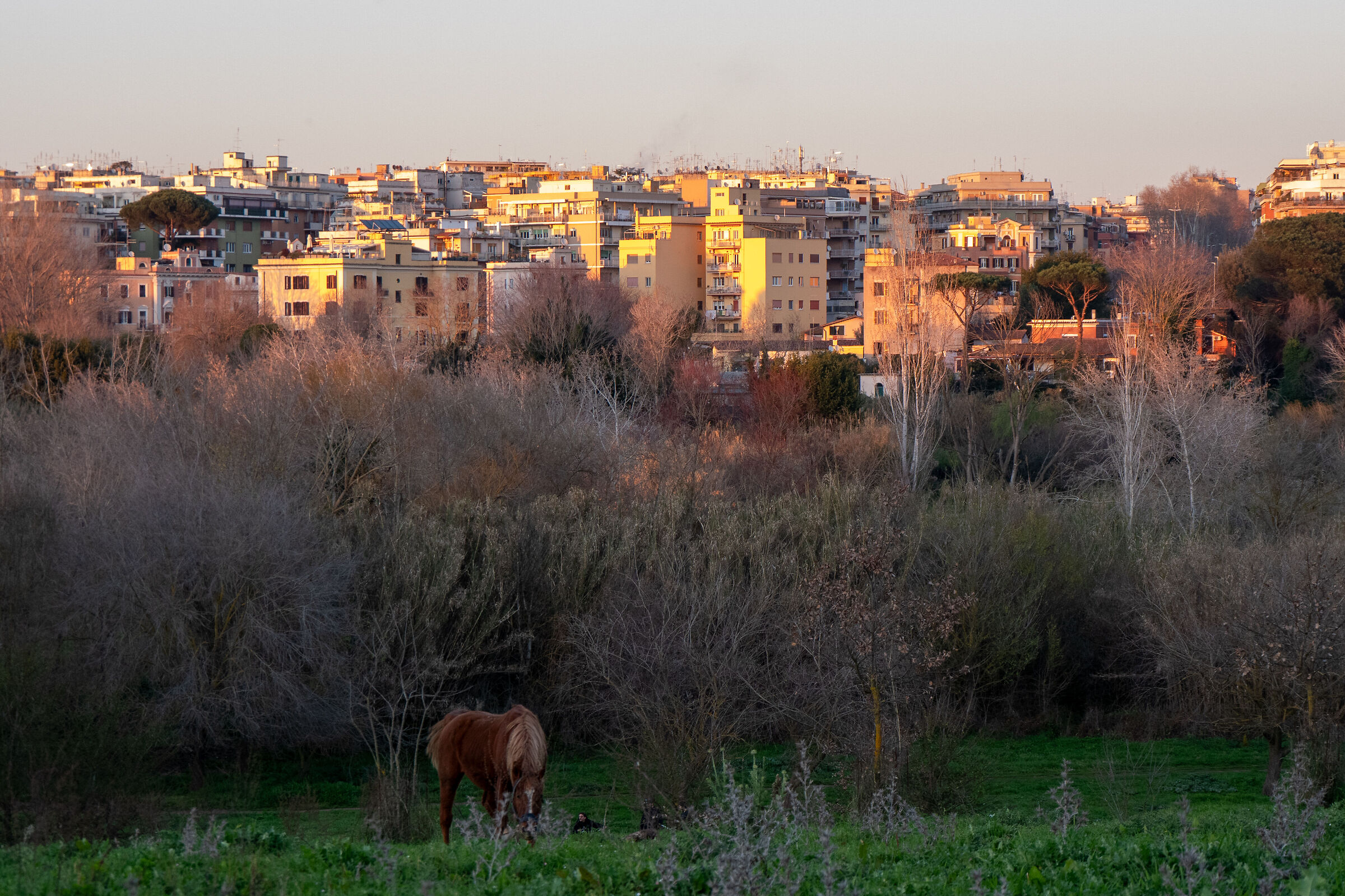 The Eternal City
