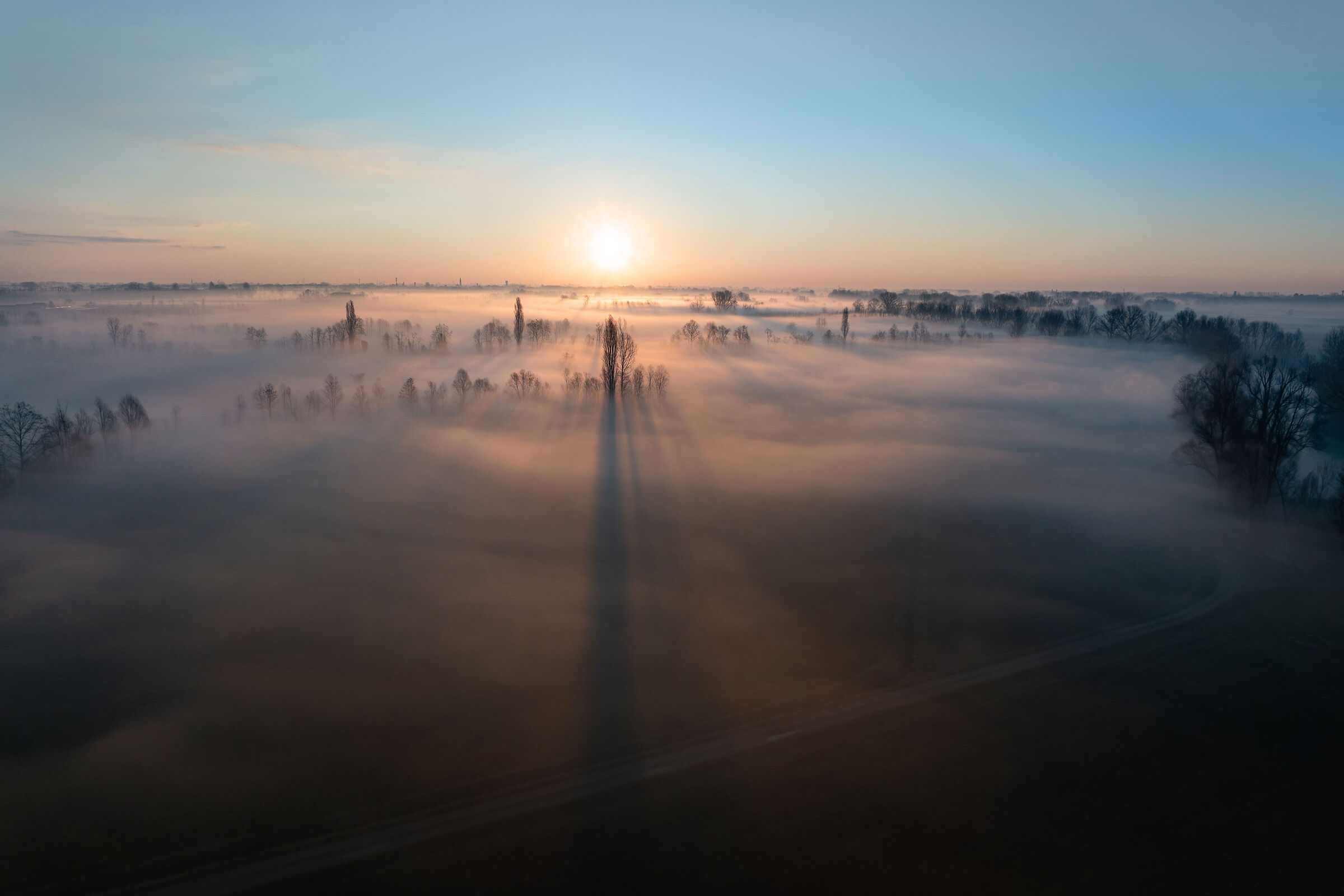 Above a fog..