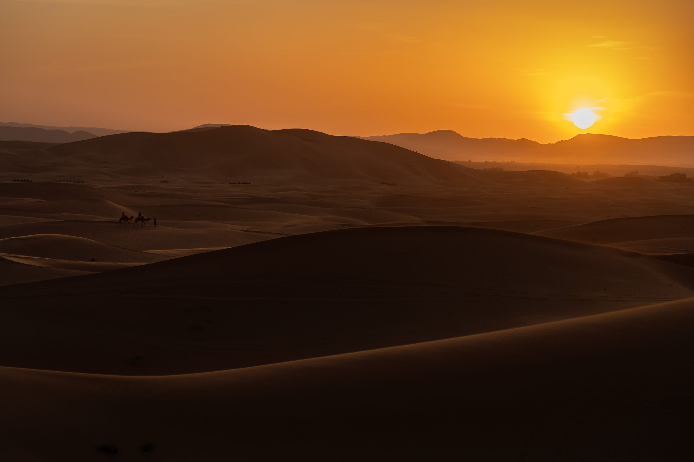 Sunset in the Sahara