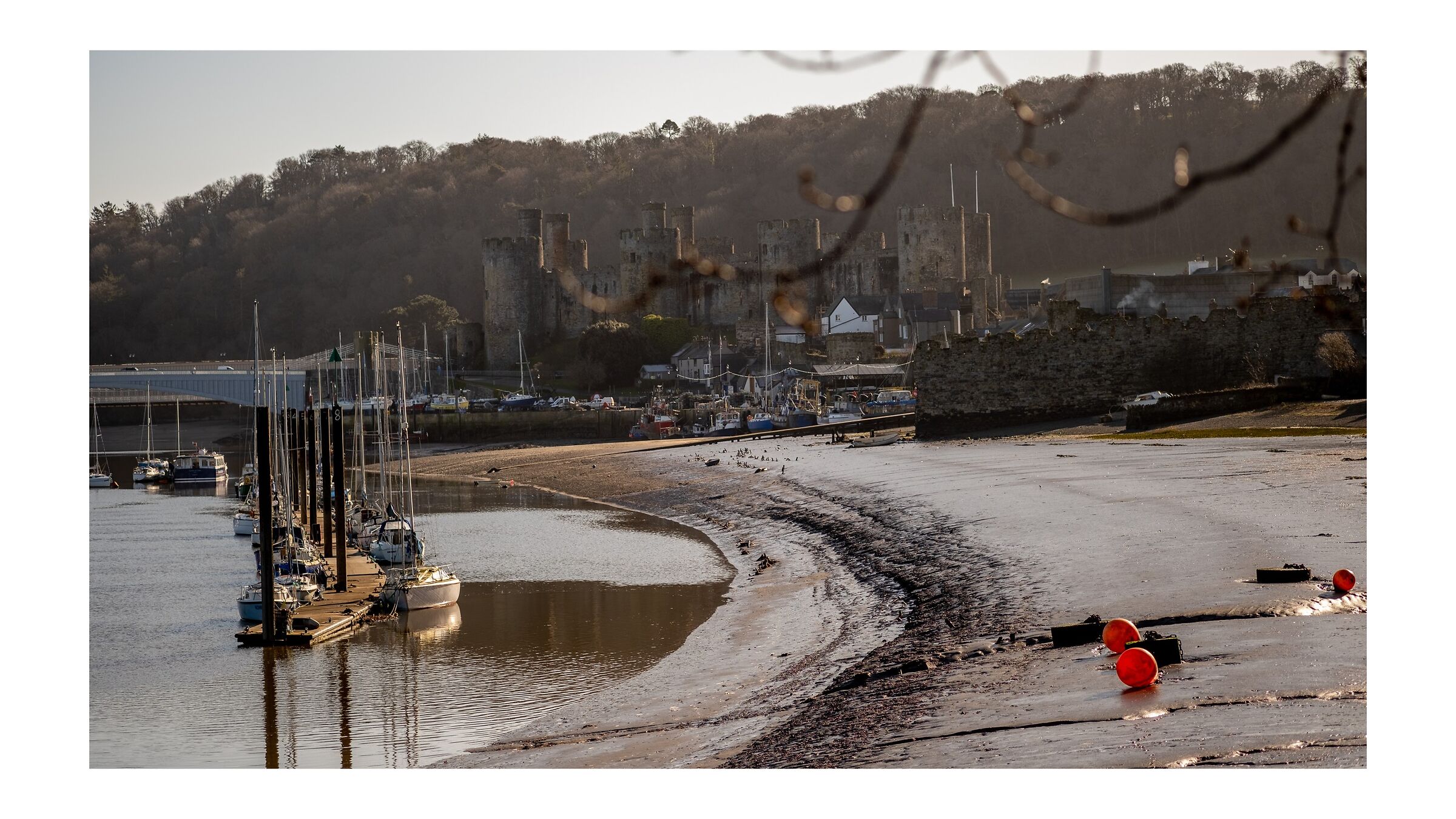 Conwy castle