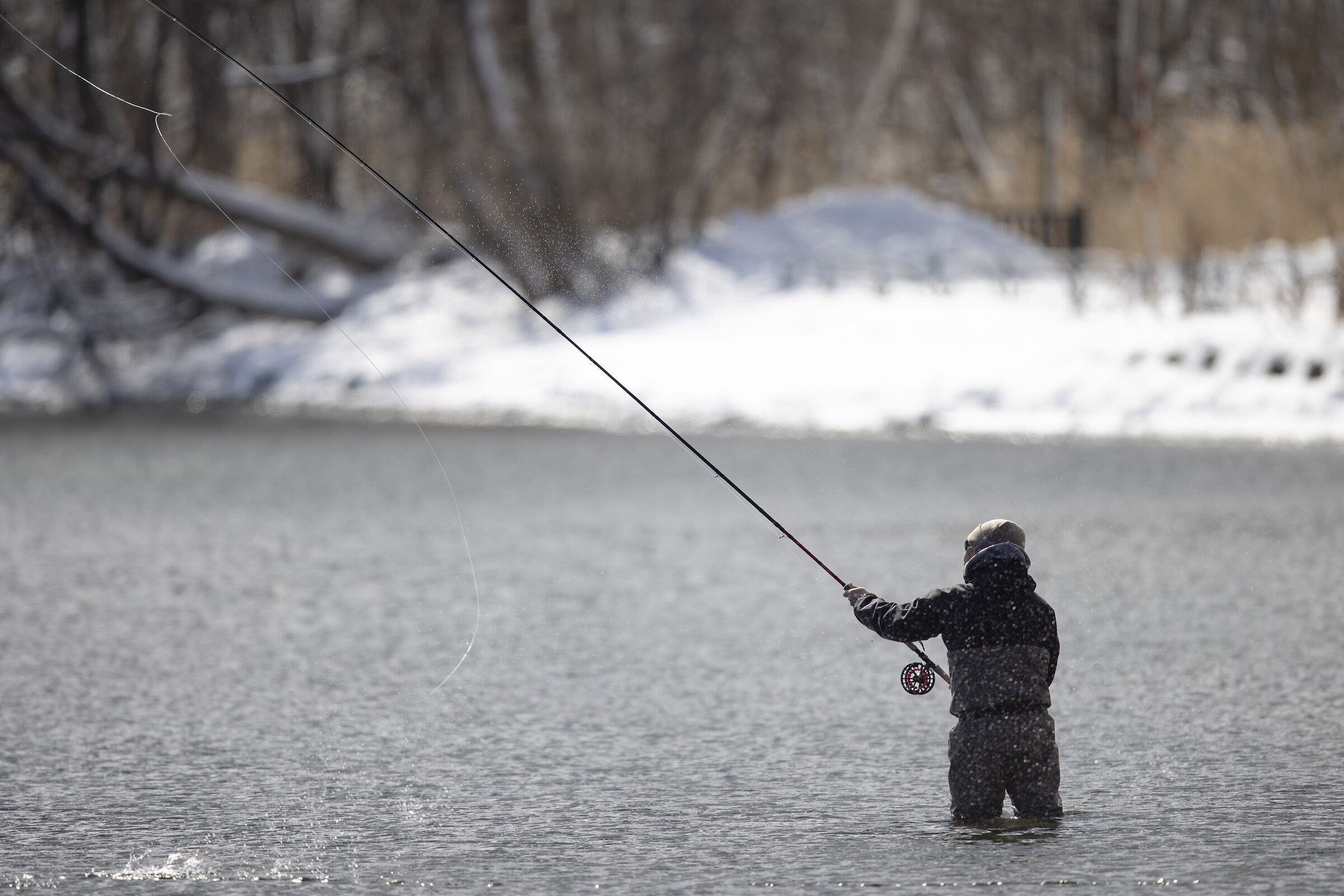 2025 Winter, Hokkaido Nature