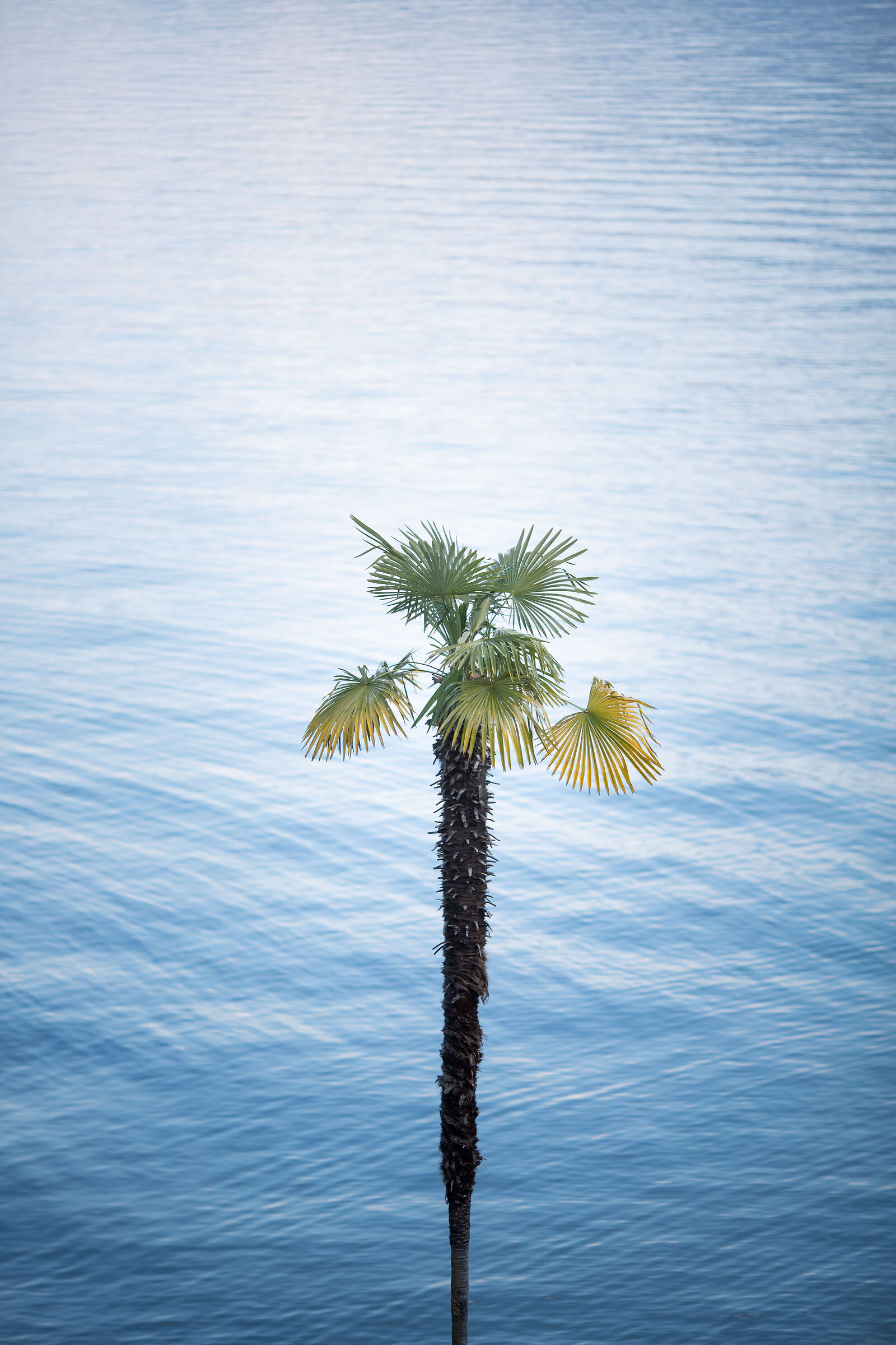Untitled Photo