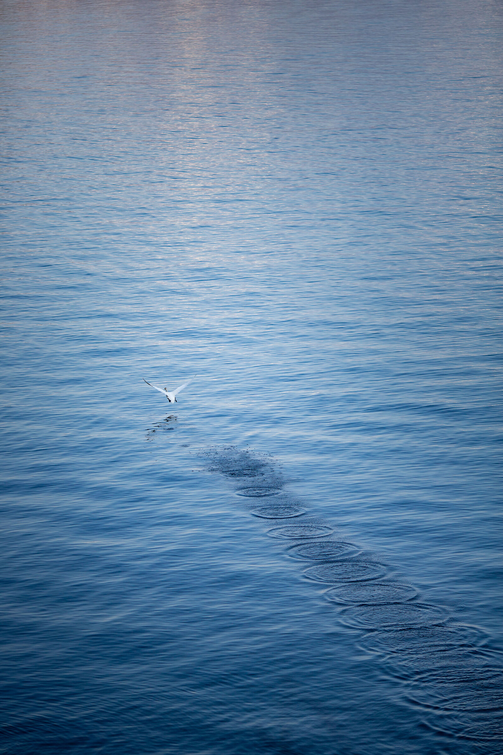 Untitled Photo