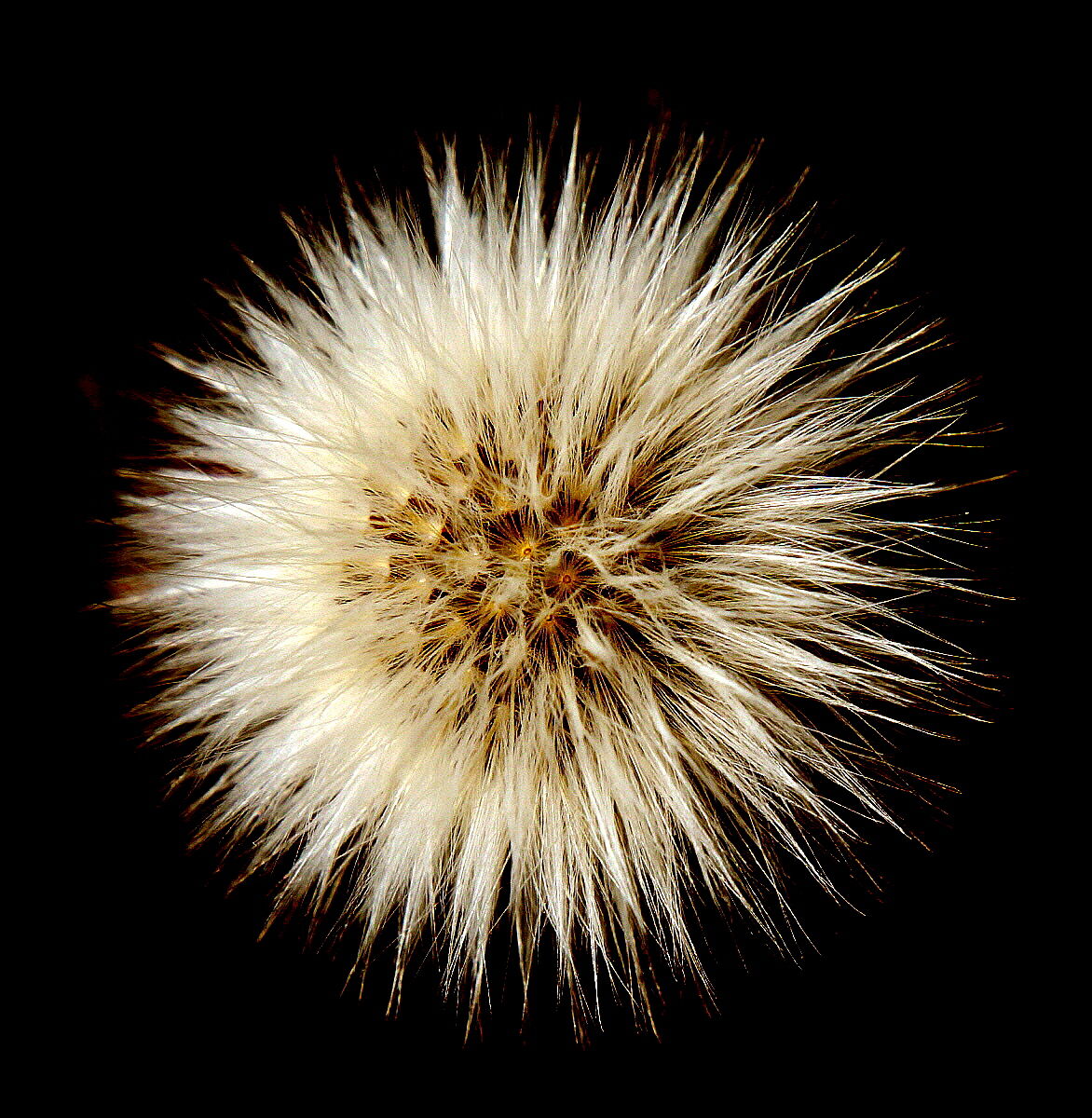 Waiting for the wind!