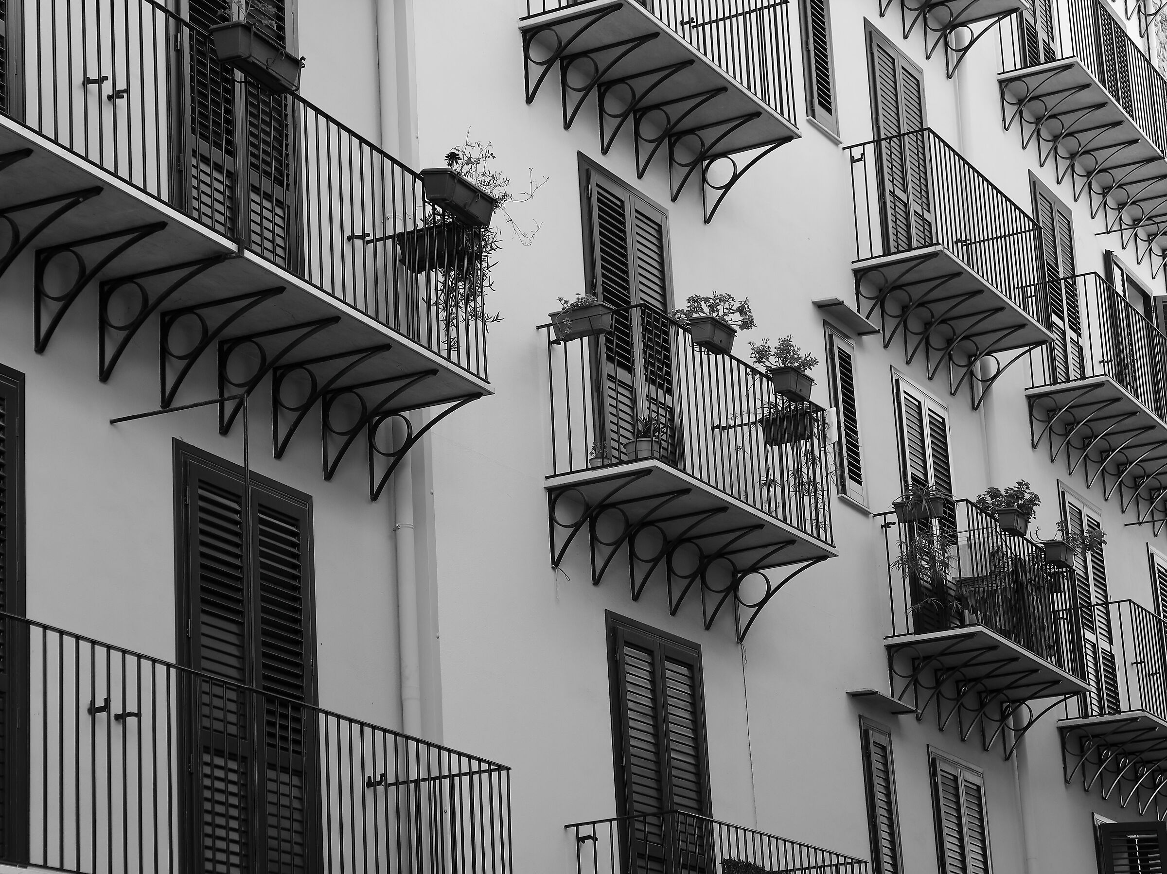 PALERMO_2024 (IMG_0306-1)