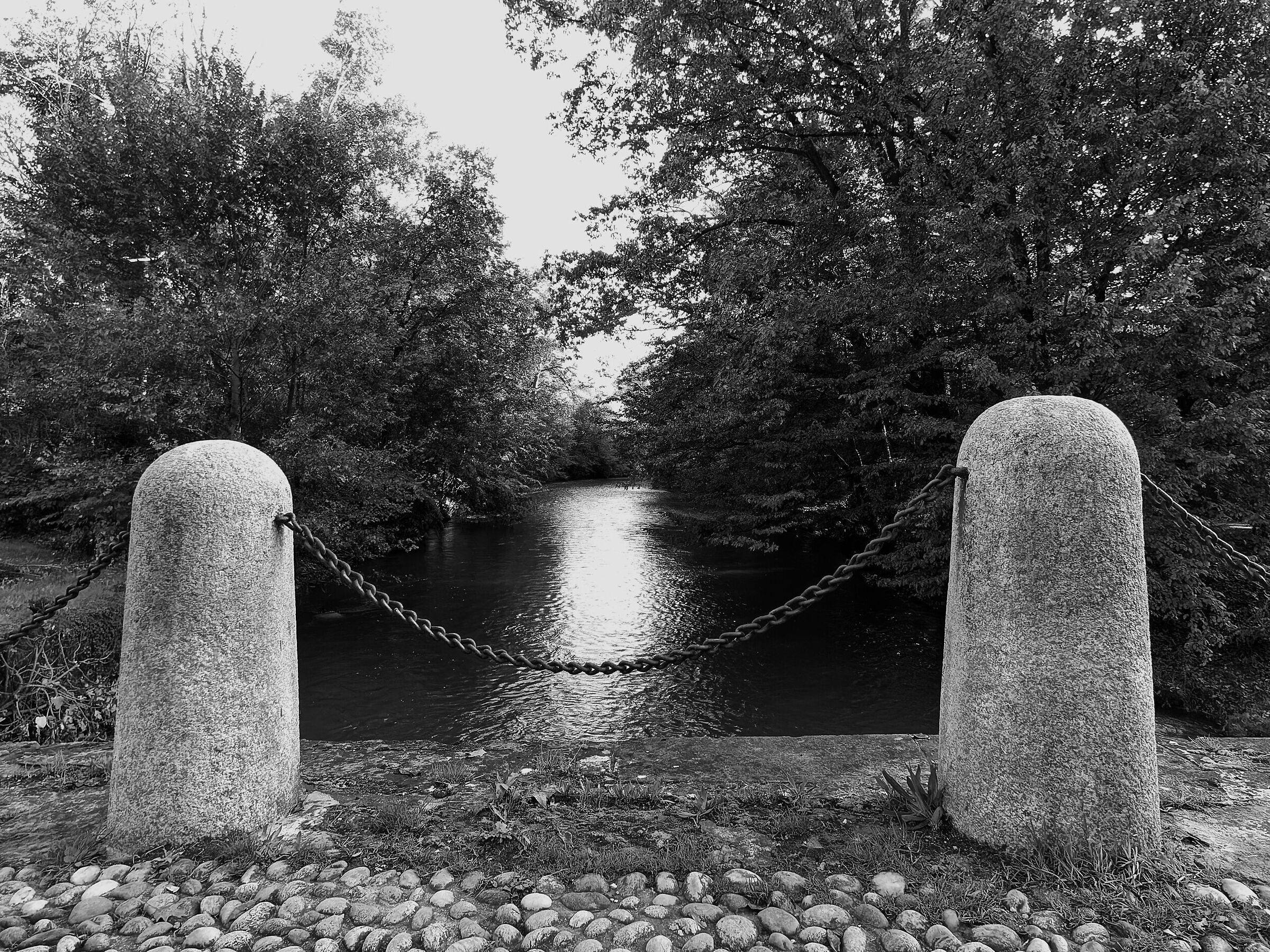 MONZA_2019 (_1020848-1)