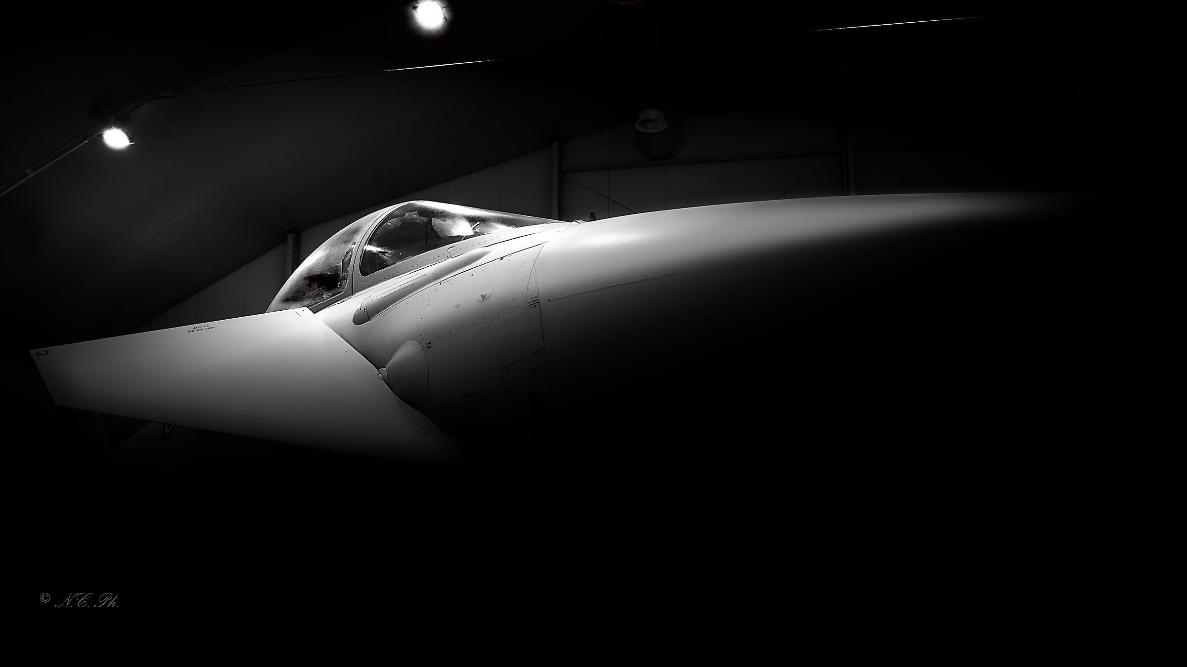 Eurofighter typhoon b/w