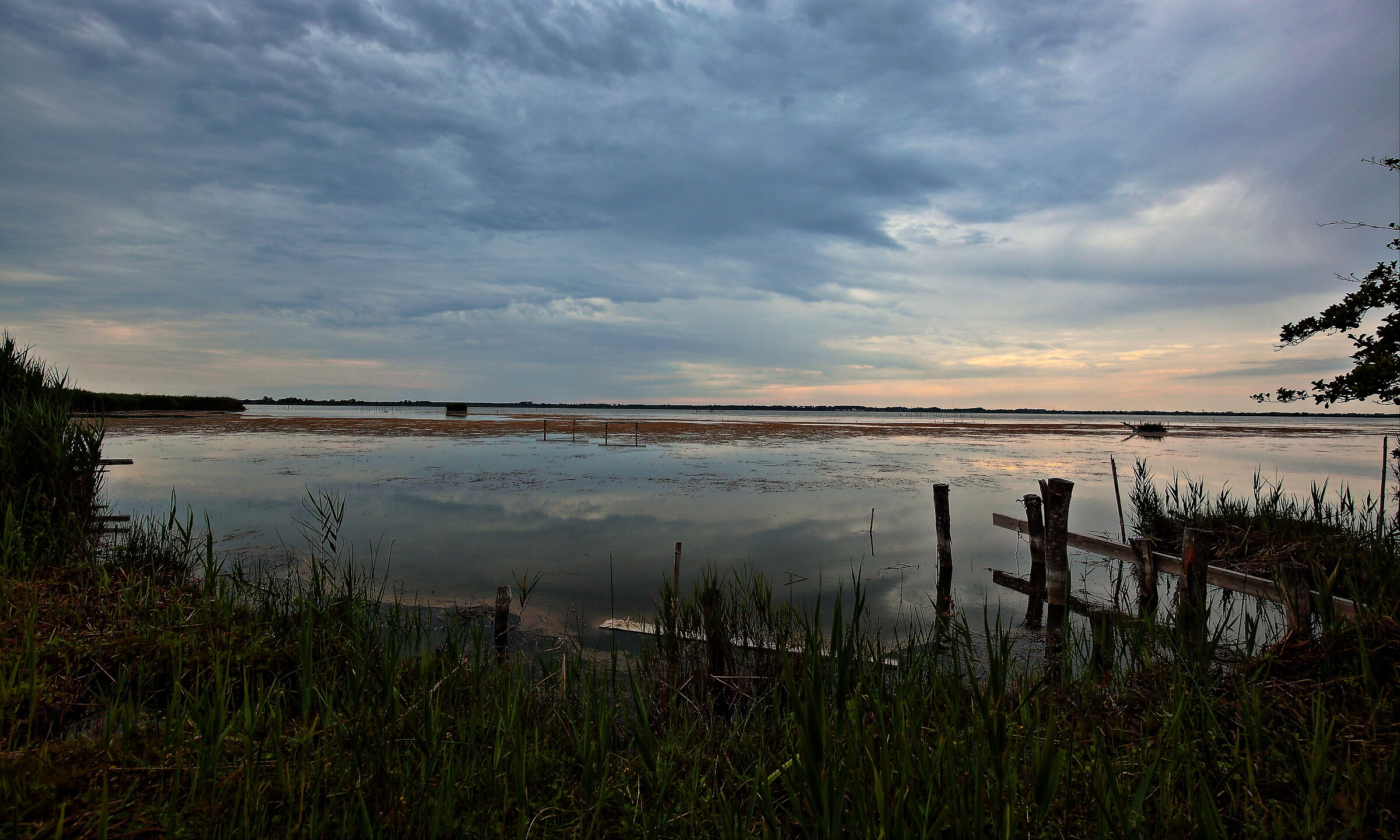 Sunset at the LIPU Massaciuccoli Oasis