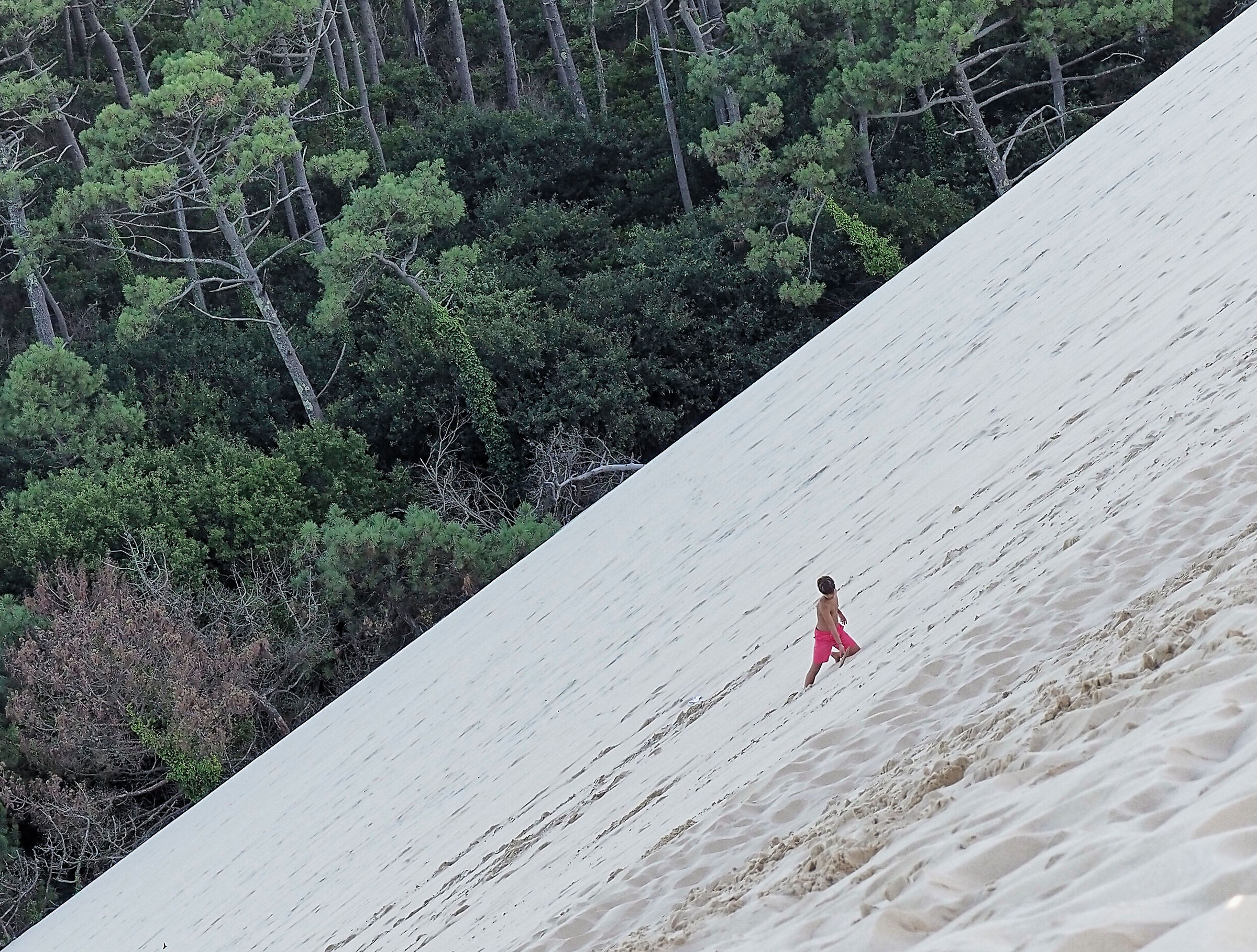 PILAT_2024 (_8161700-1)