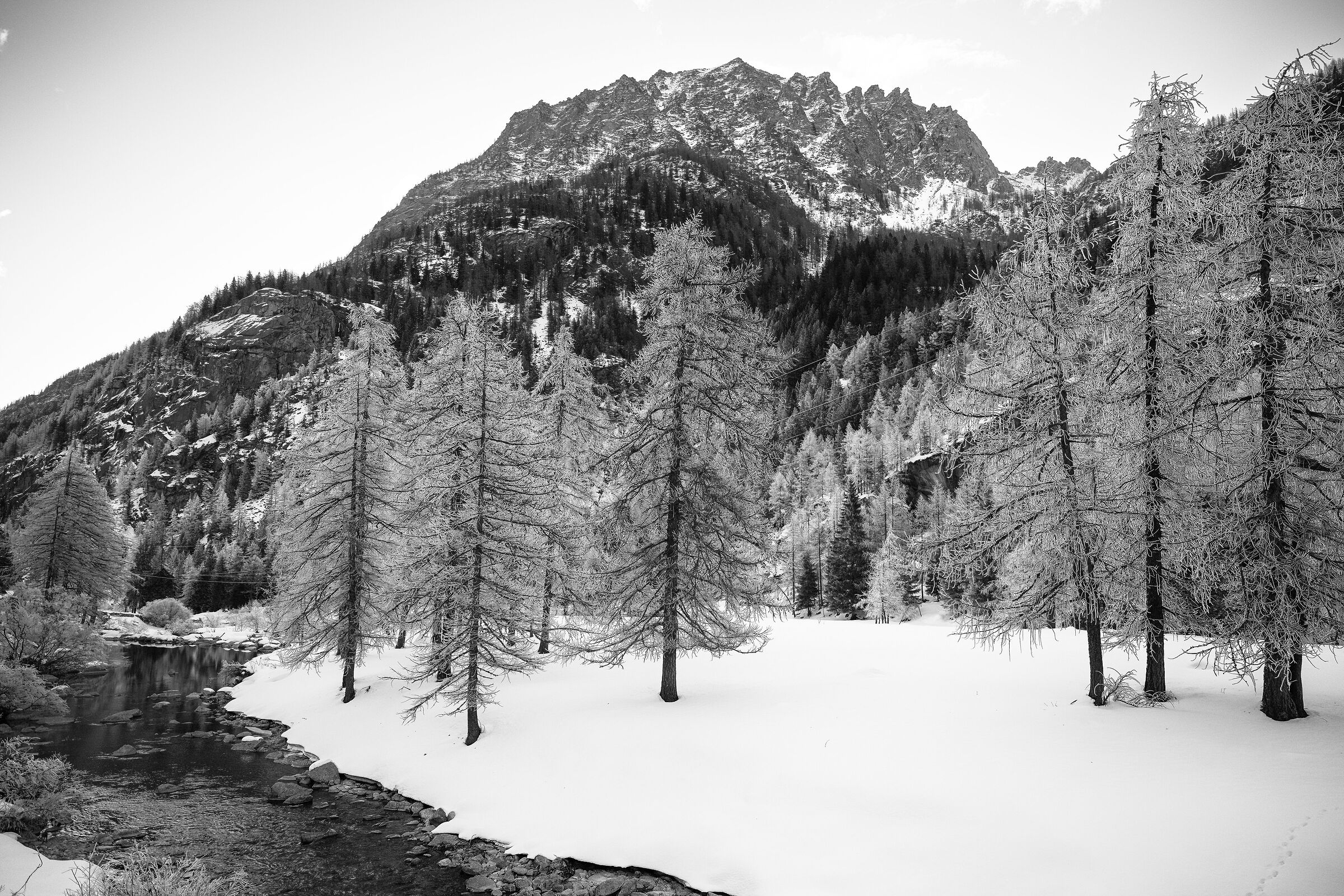 Gran Paradiso National Park - Piedmont