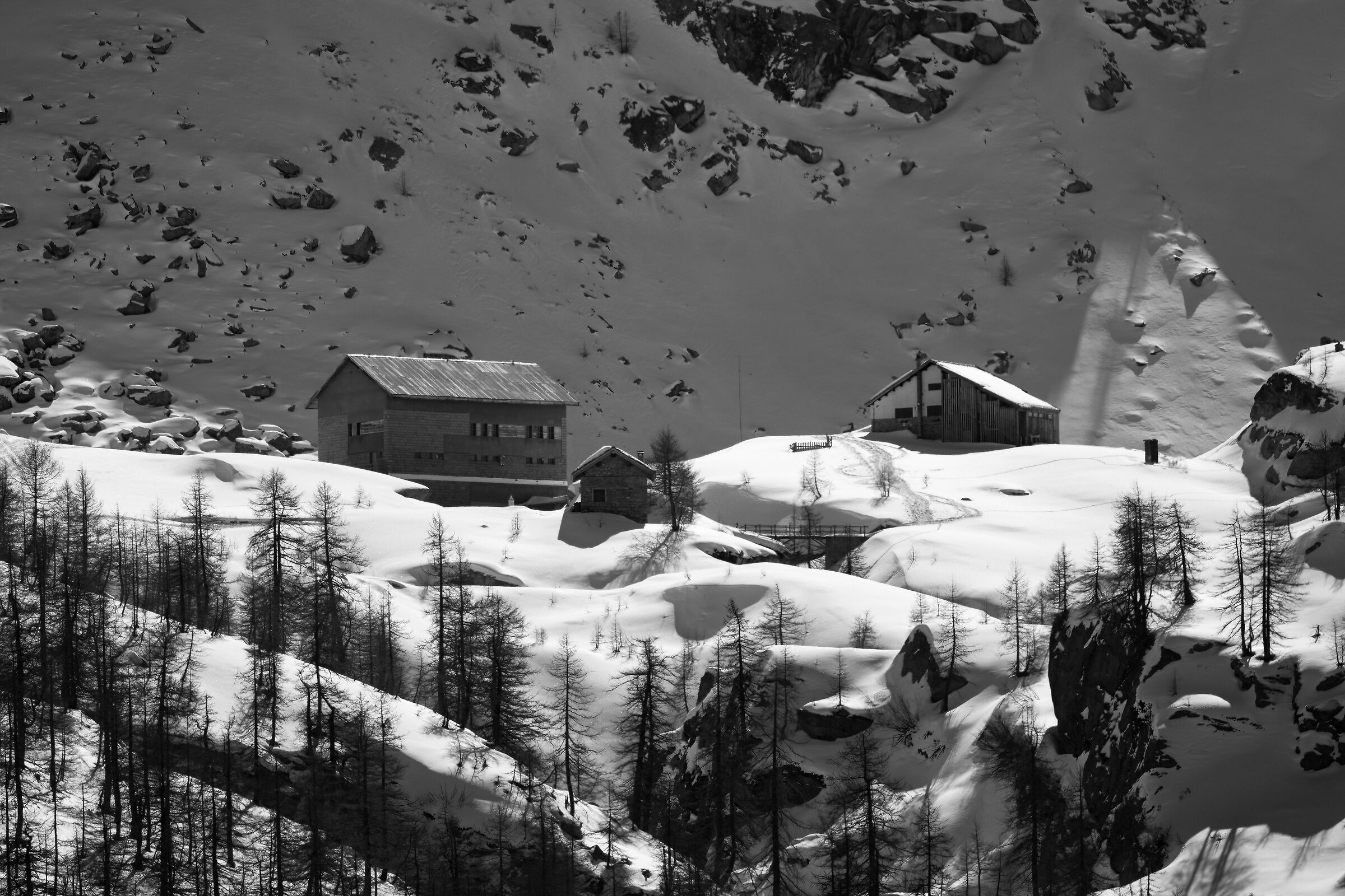 Gran Paradiso National Park - Piedmont