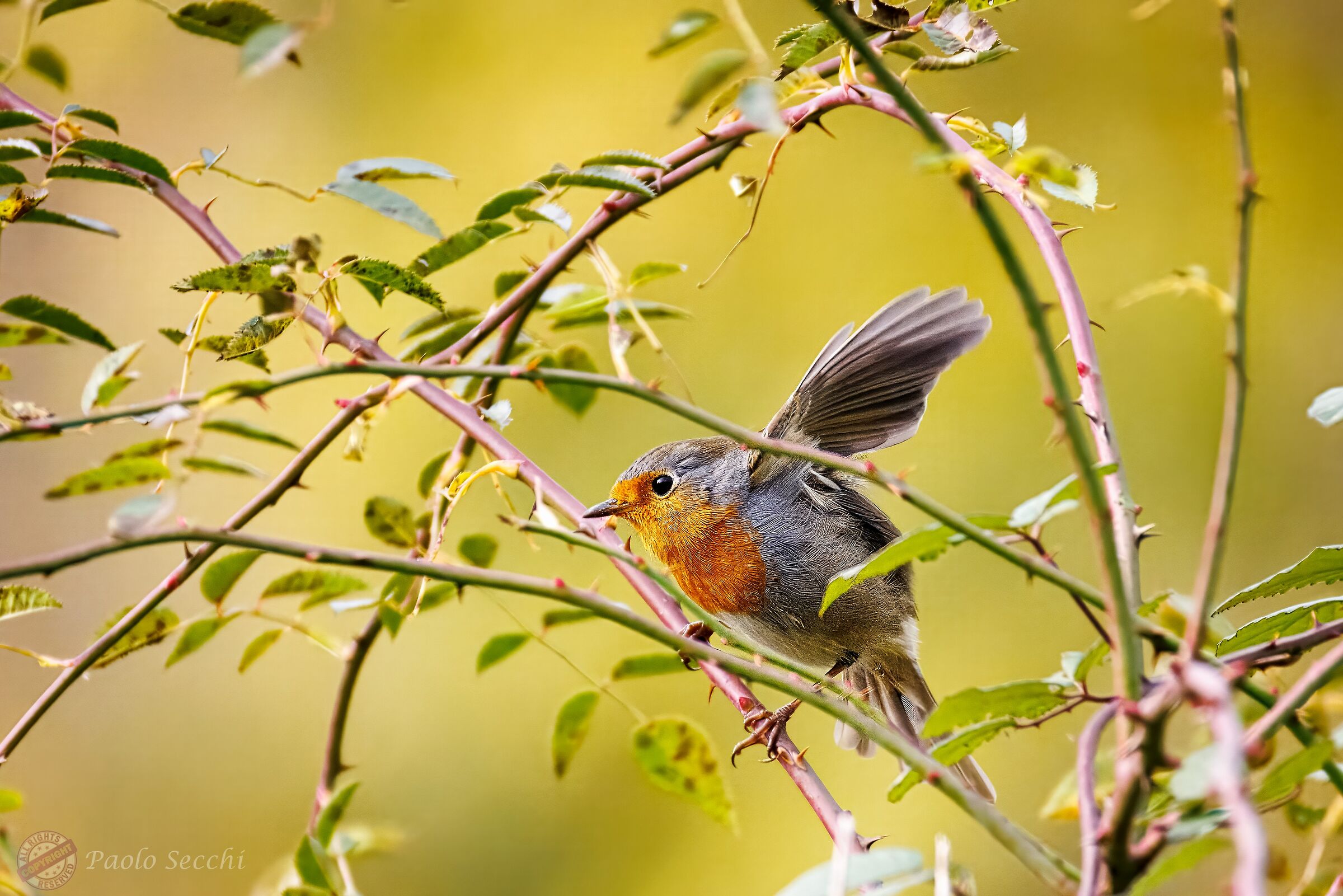 Protected, but always vigilant