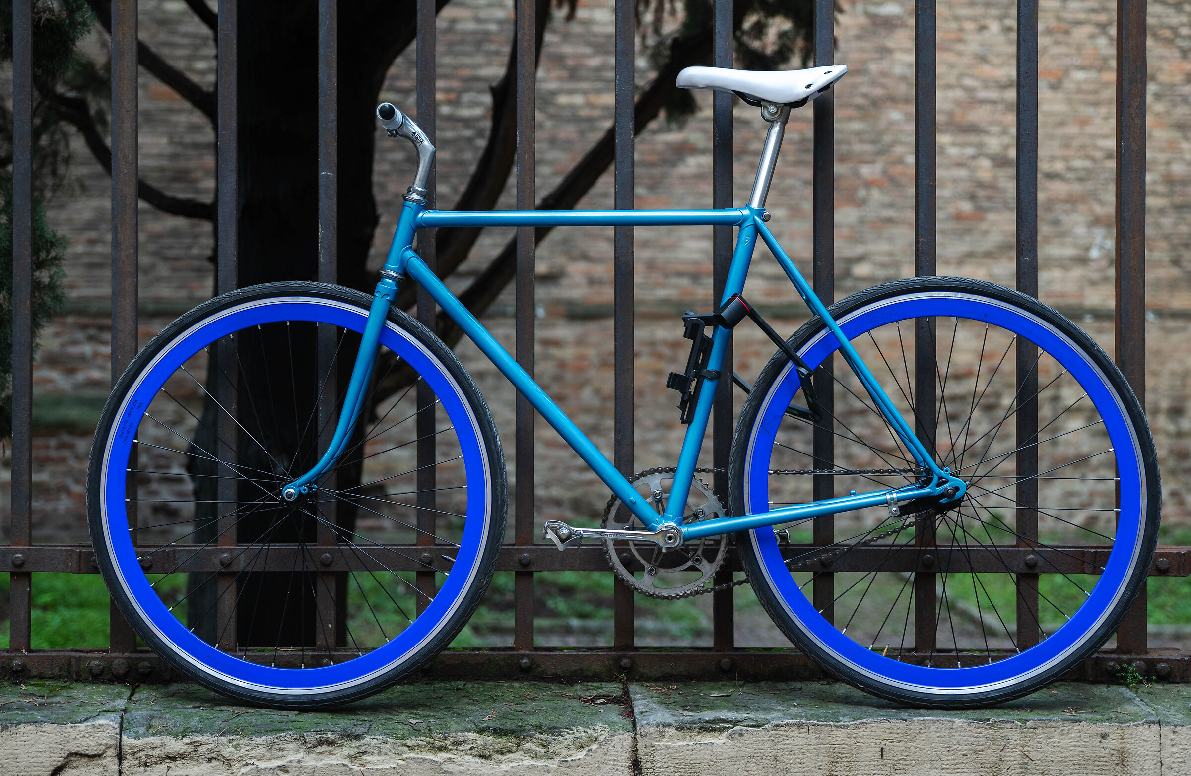 Blue bike