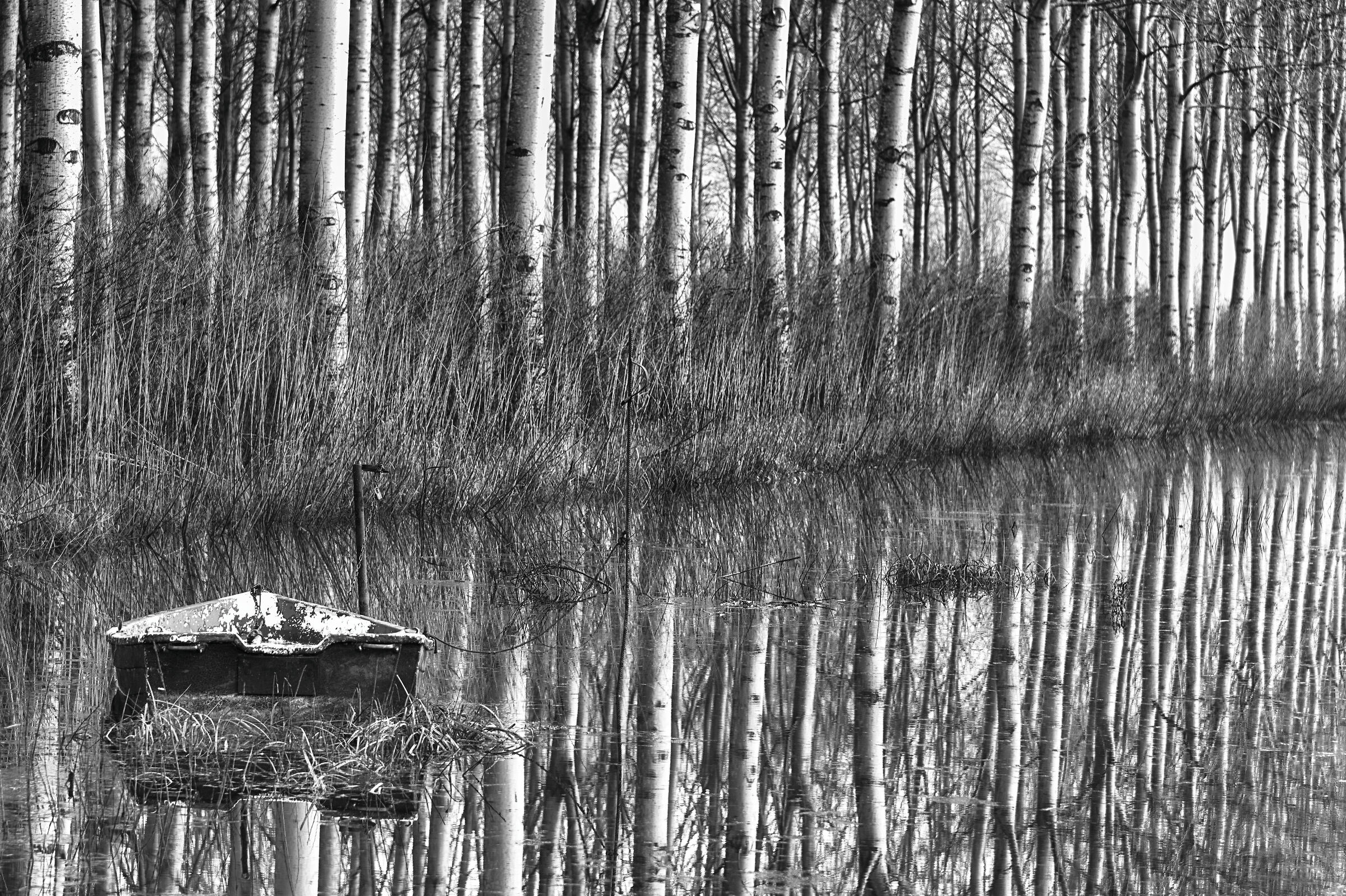 Momento di silenzio