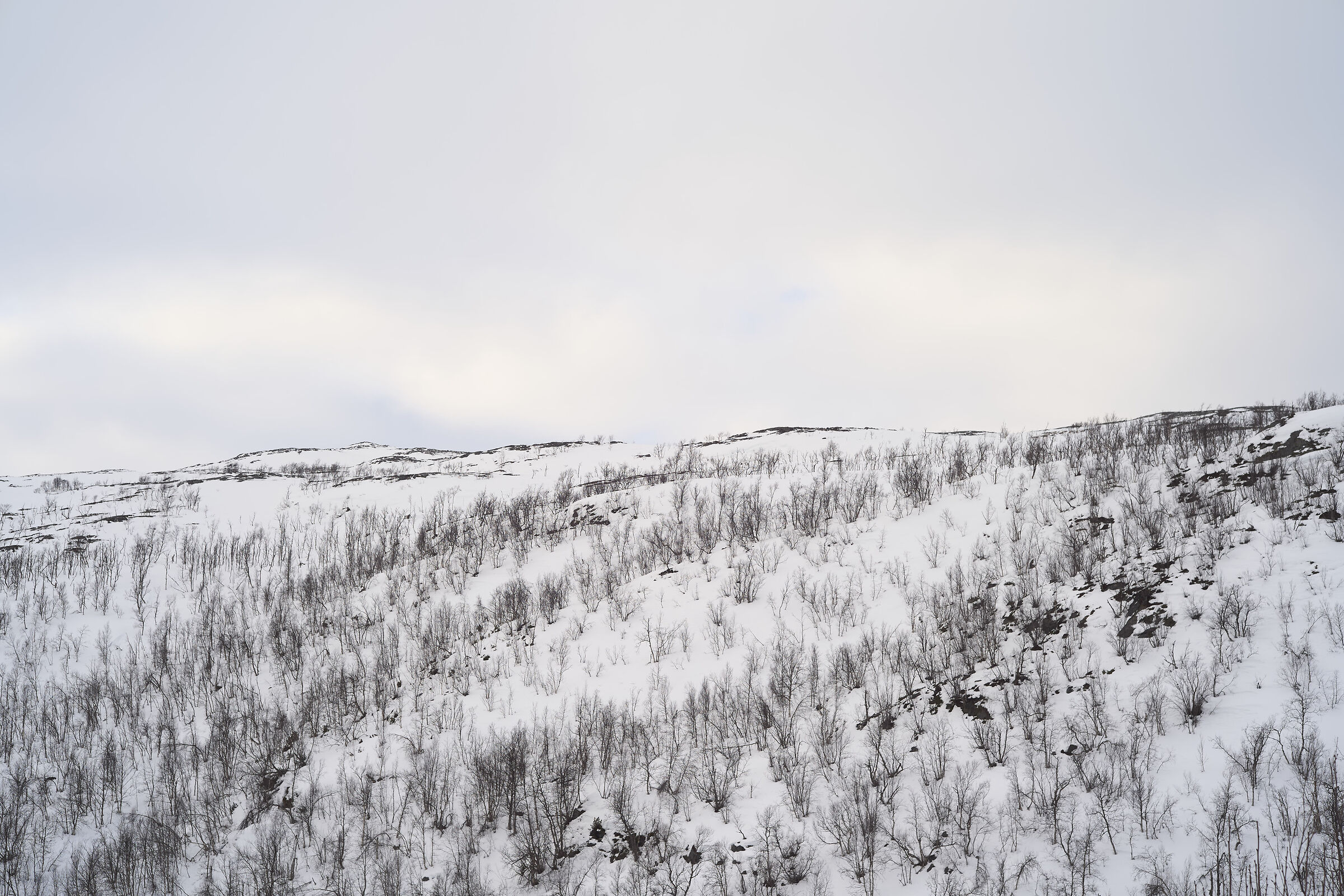 Norway minimalism