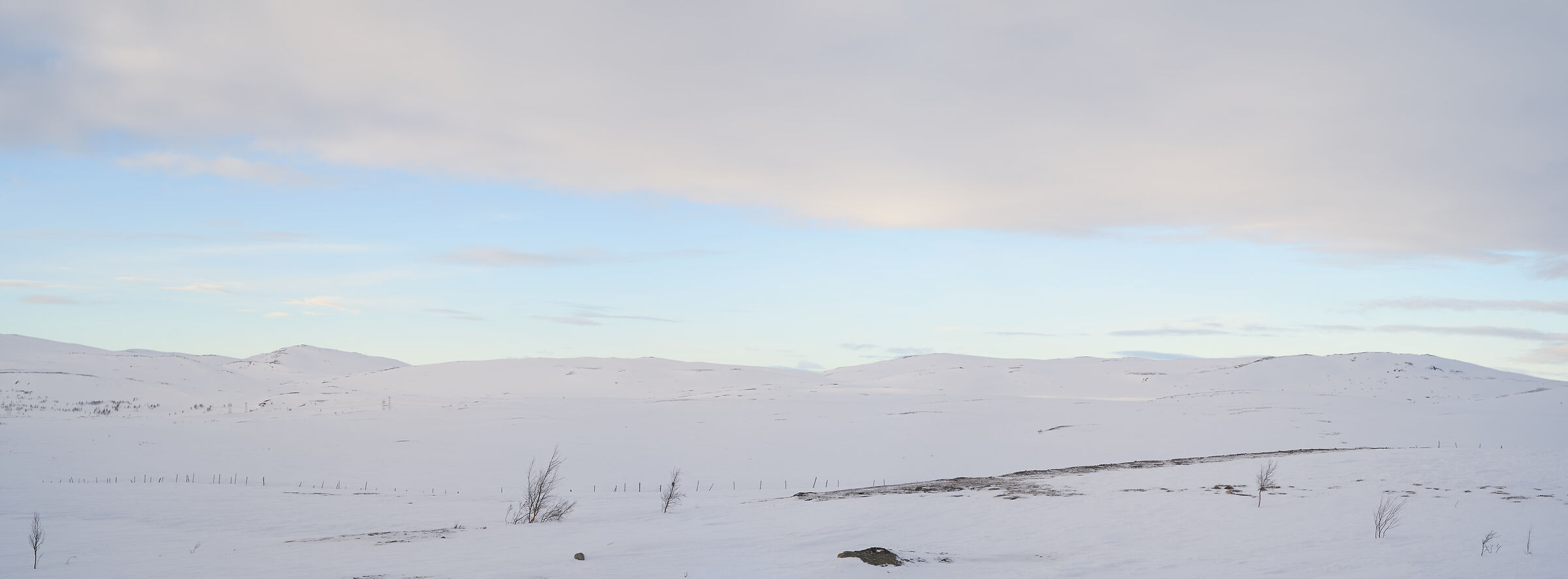 Arctic panorama