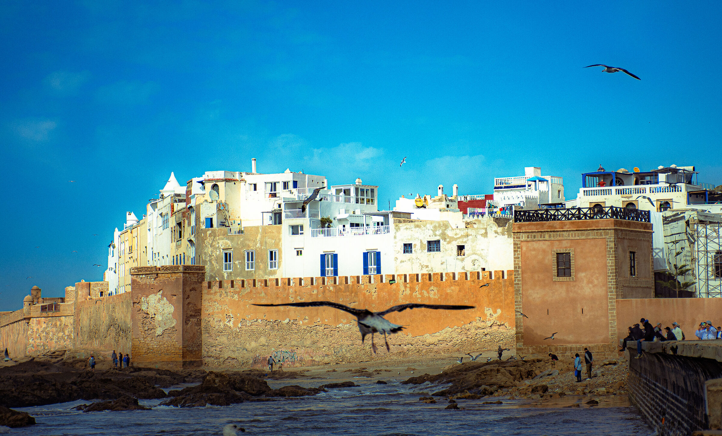 Essaouira 5