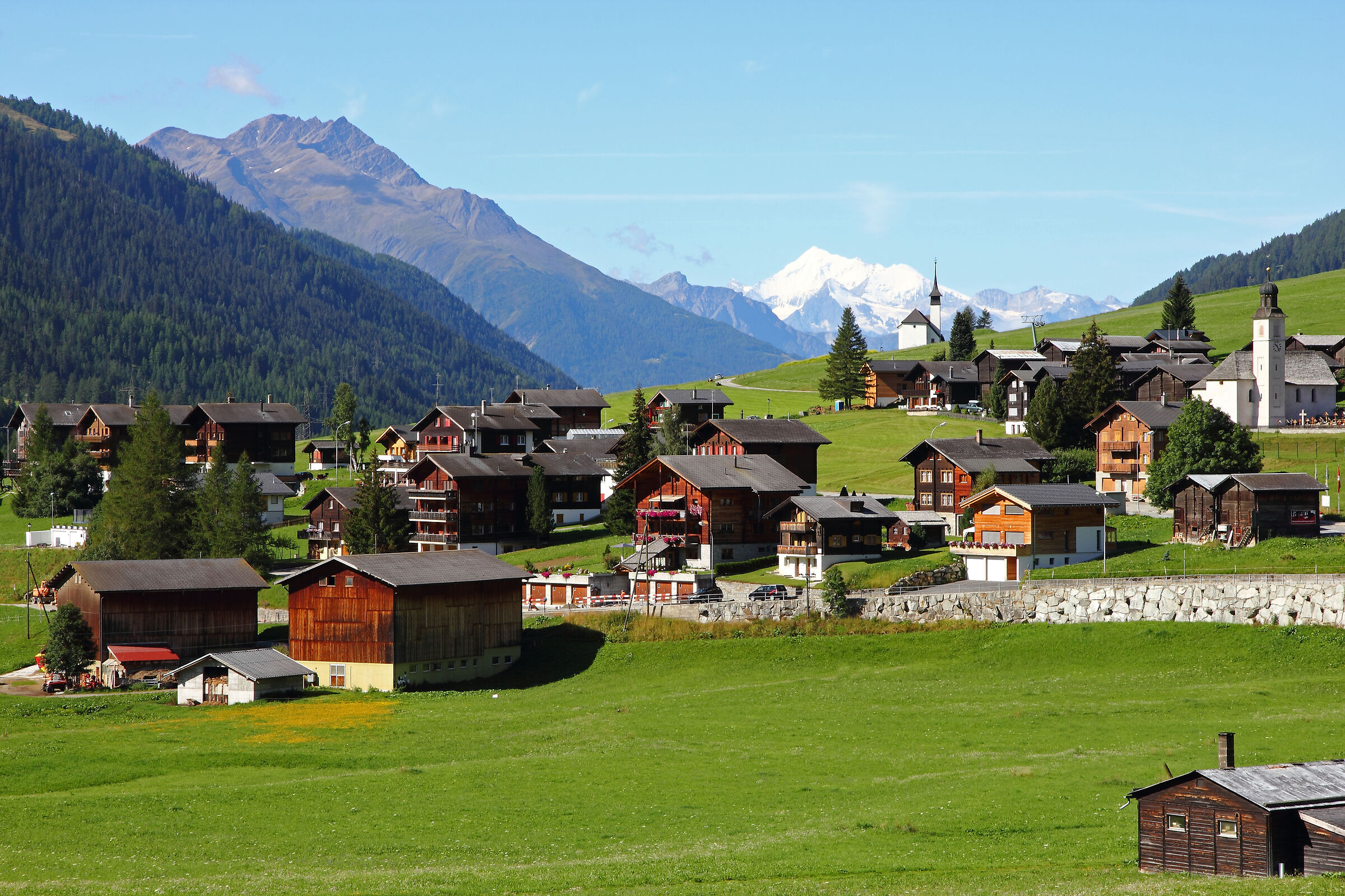 suisse