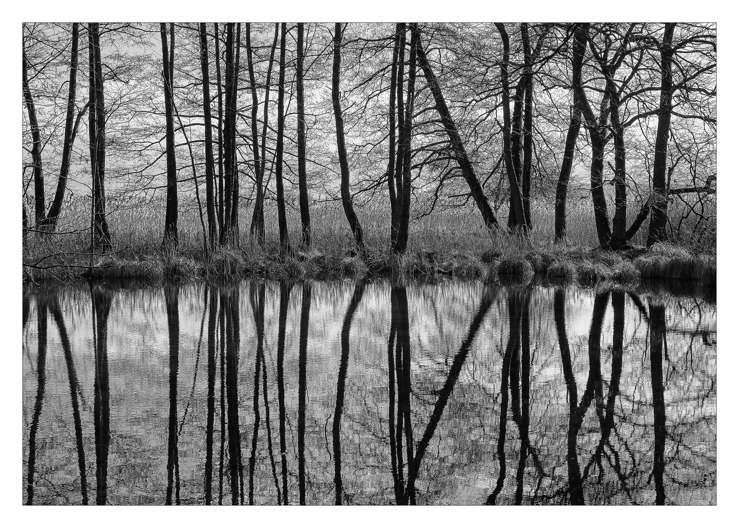 Mirroring