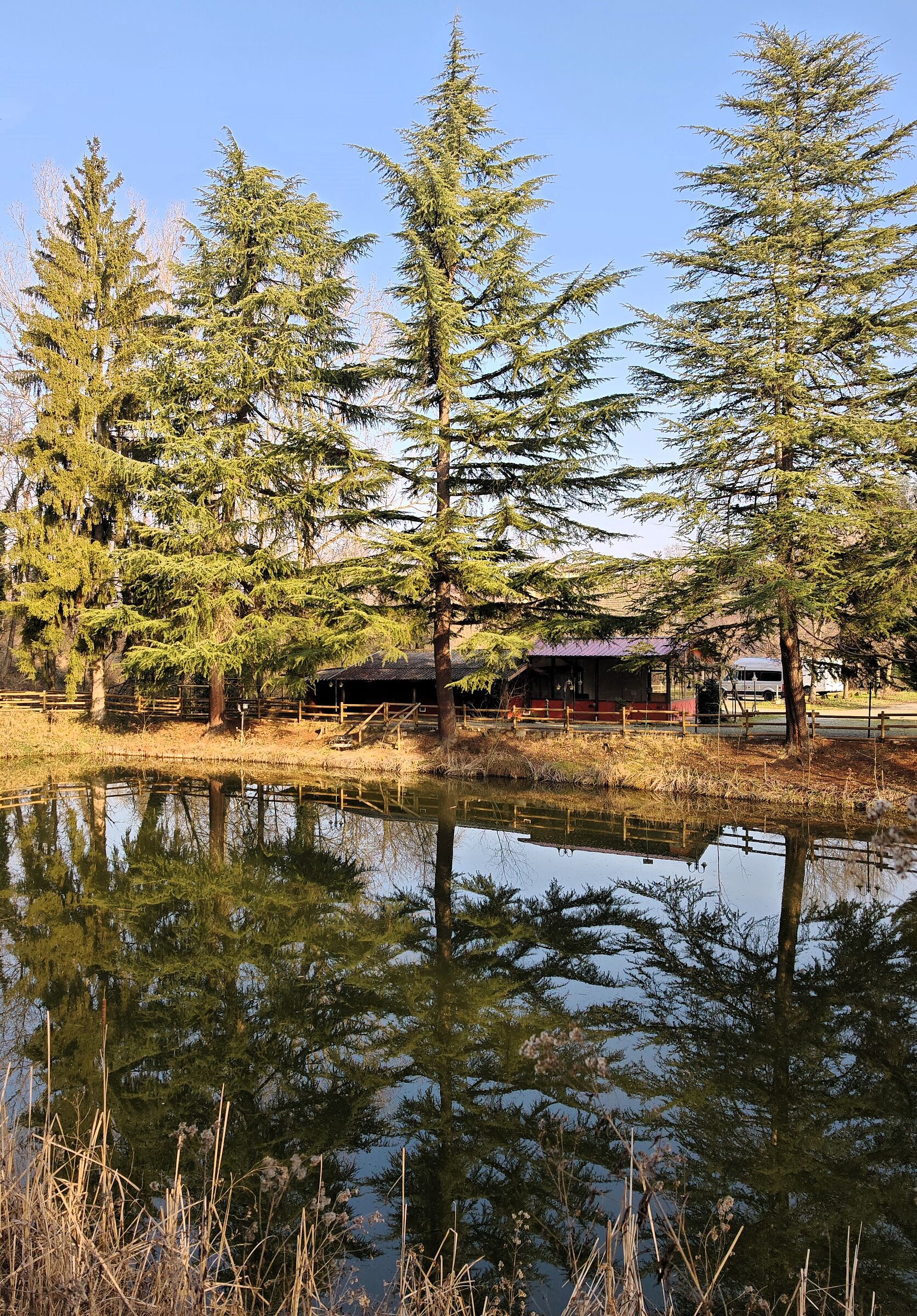 Mirror of my desires... Who is the fairest in the realm