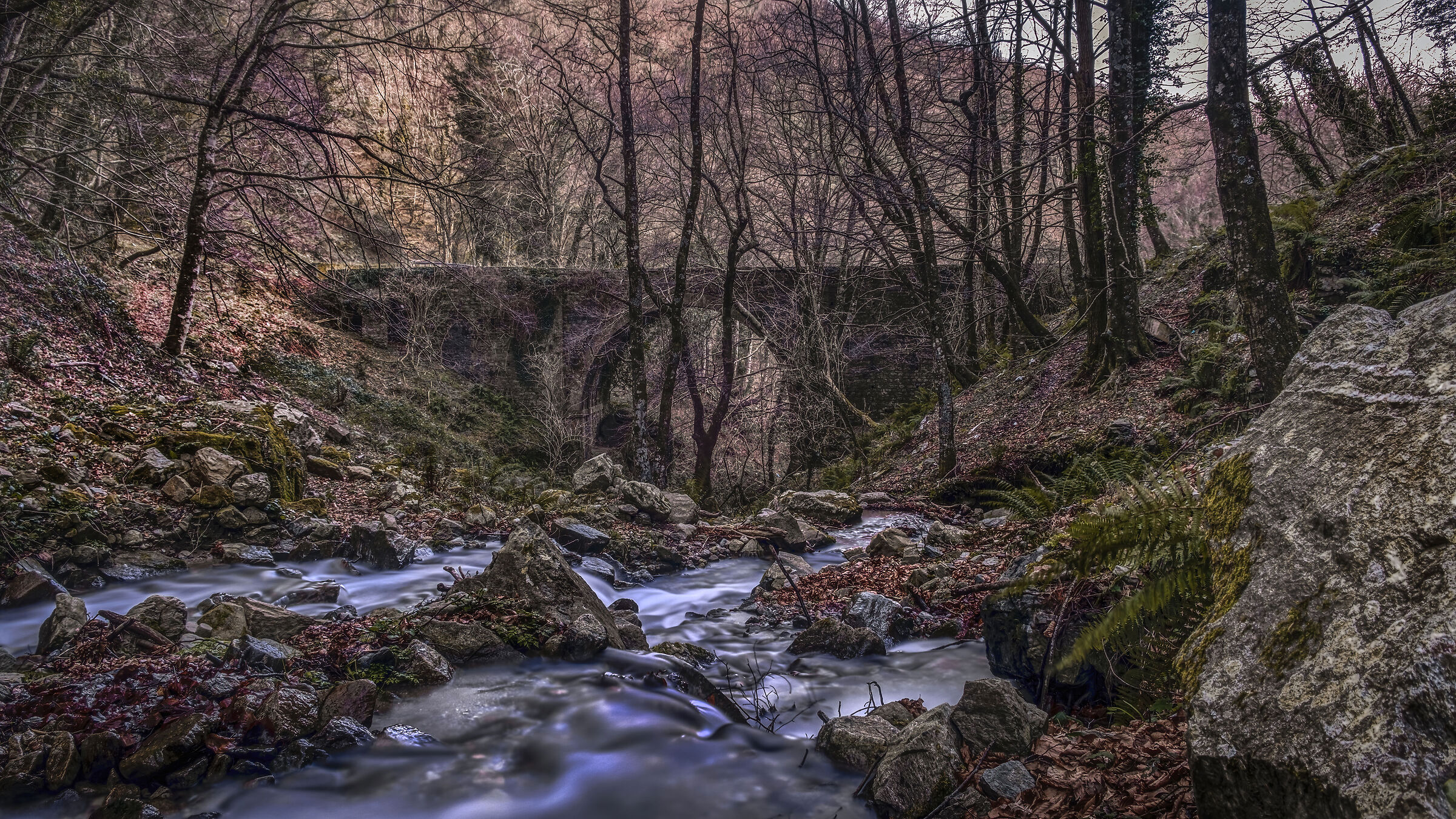 Immerso nella Natura