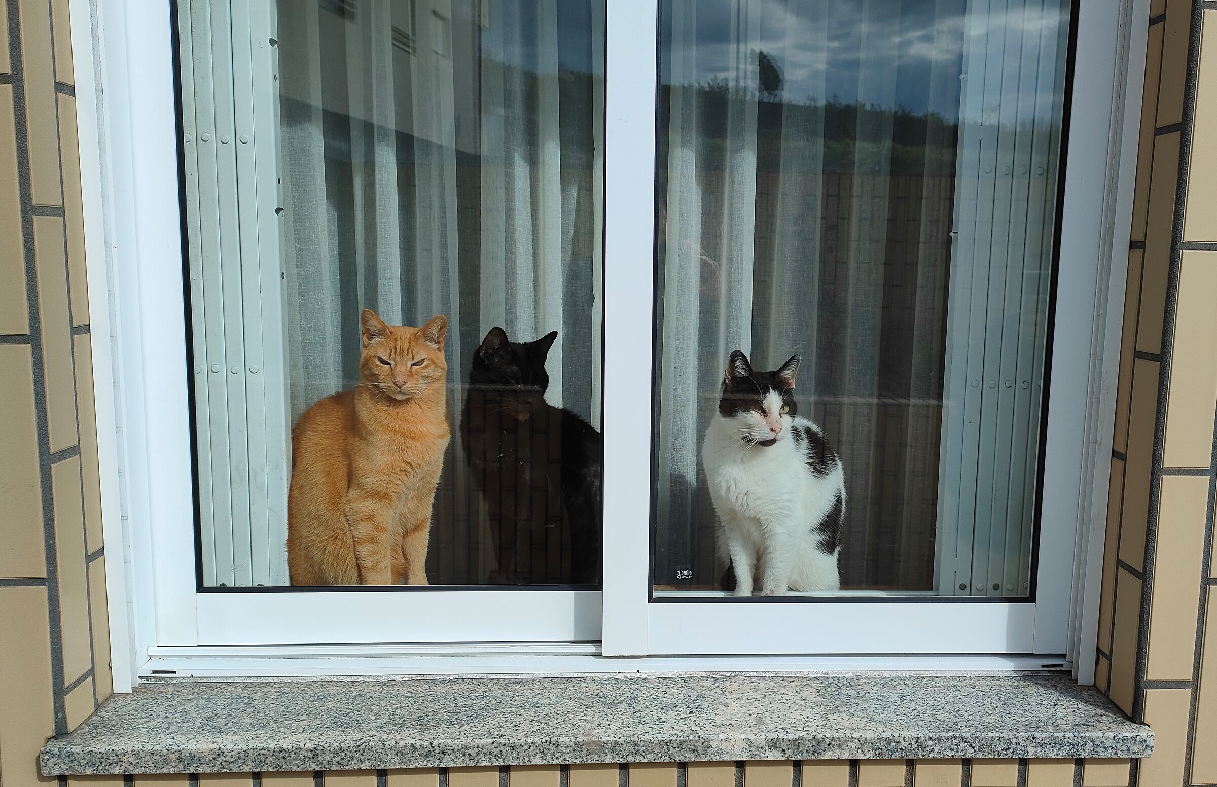 The Three Musketeers