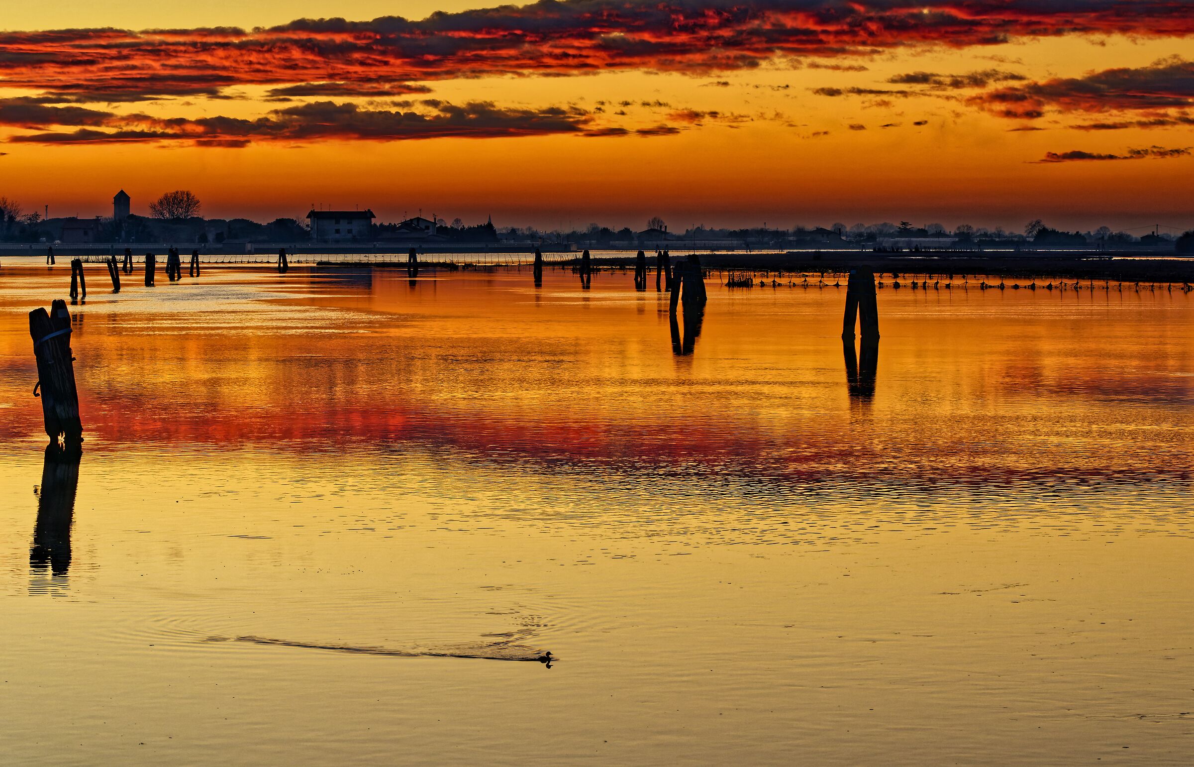 Evening peace
