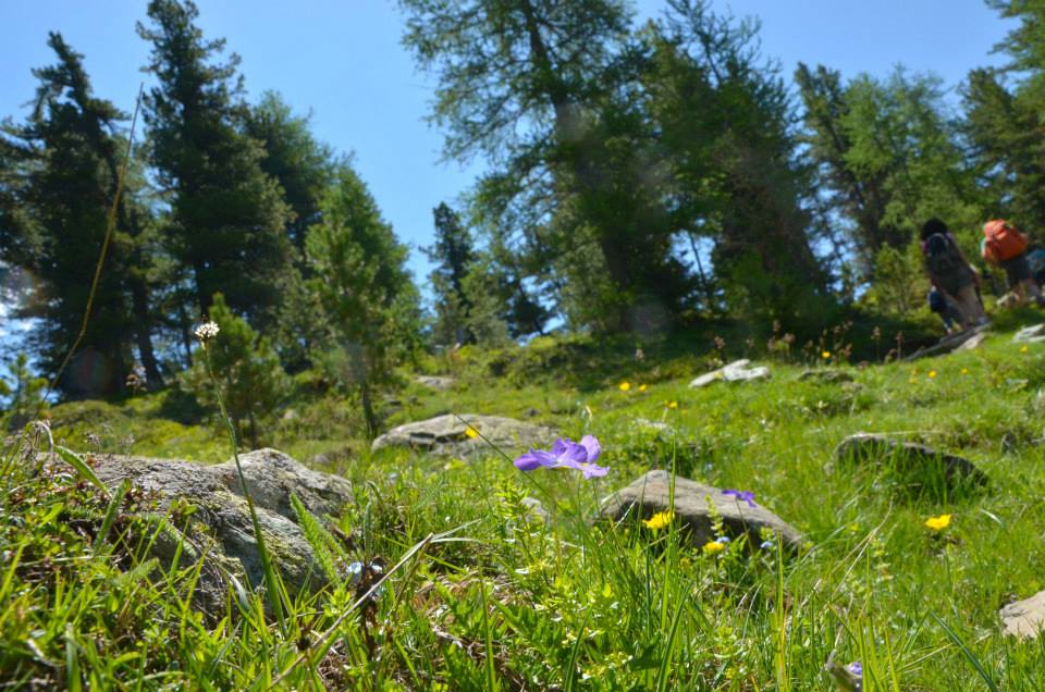 A day in the mountains