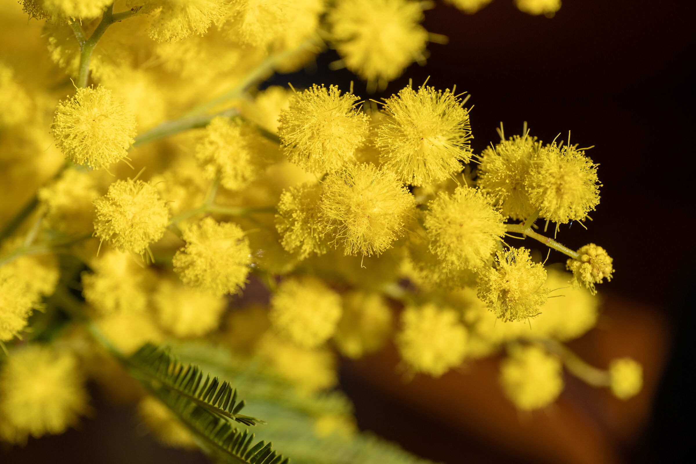 Maybe better try again