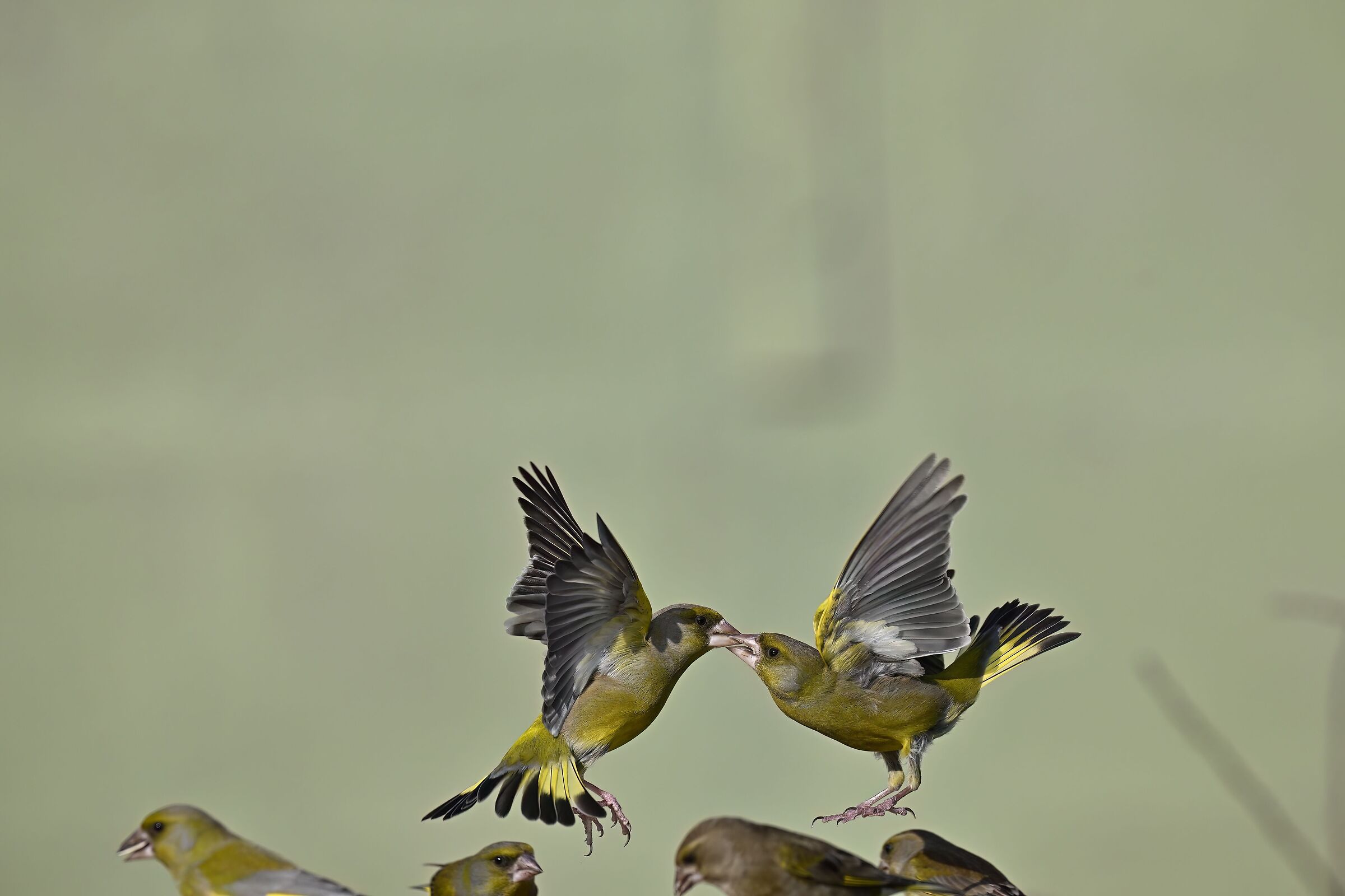 Foto documentativa per un commento ricevuto