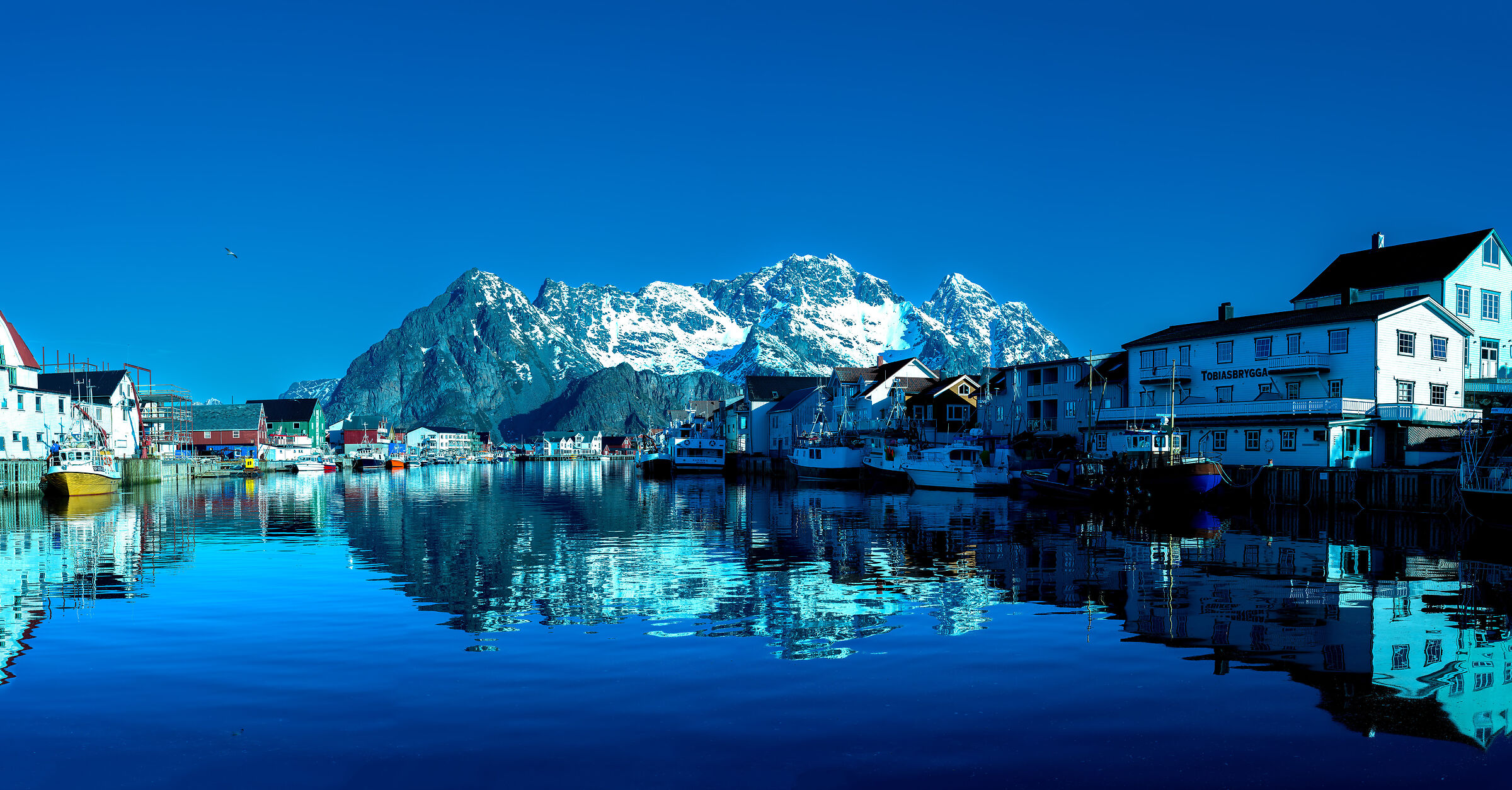 Henningsvaer harbour pano