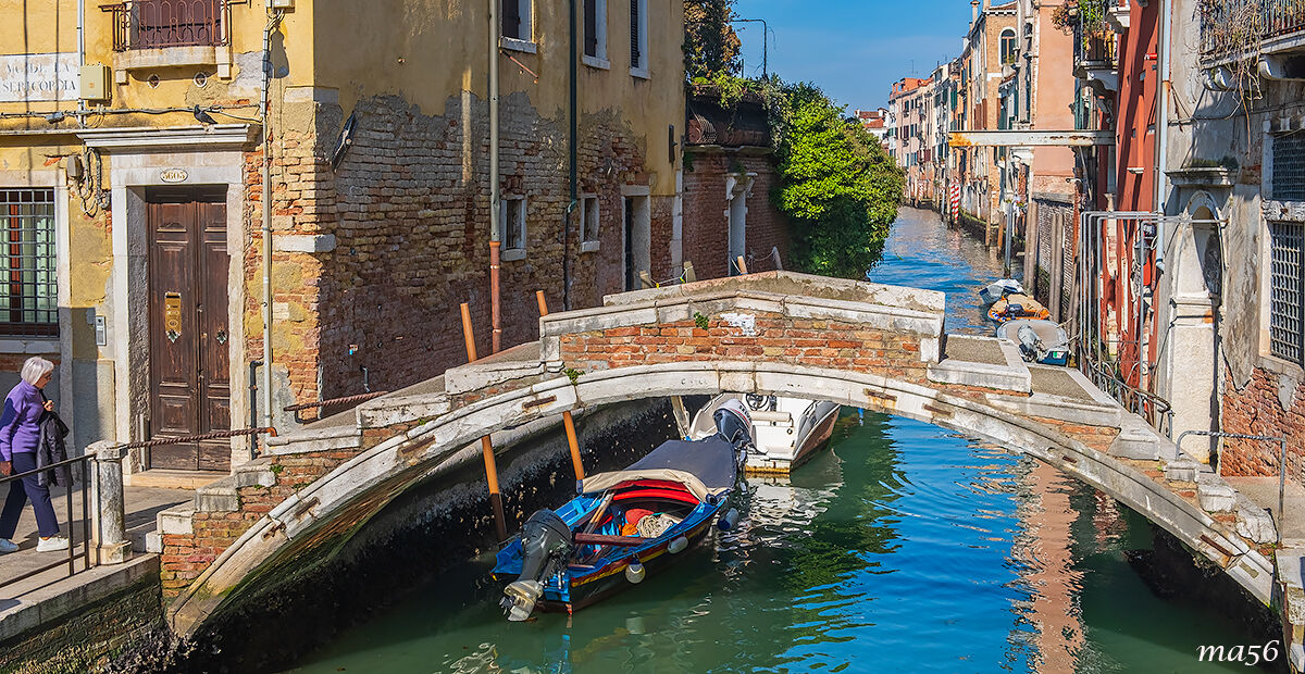 Bridges in Venice