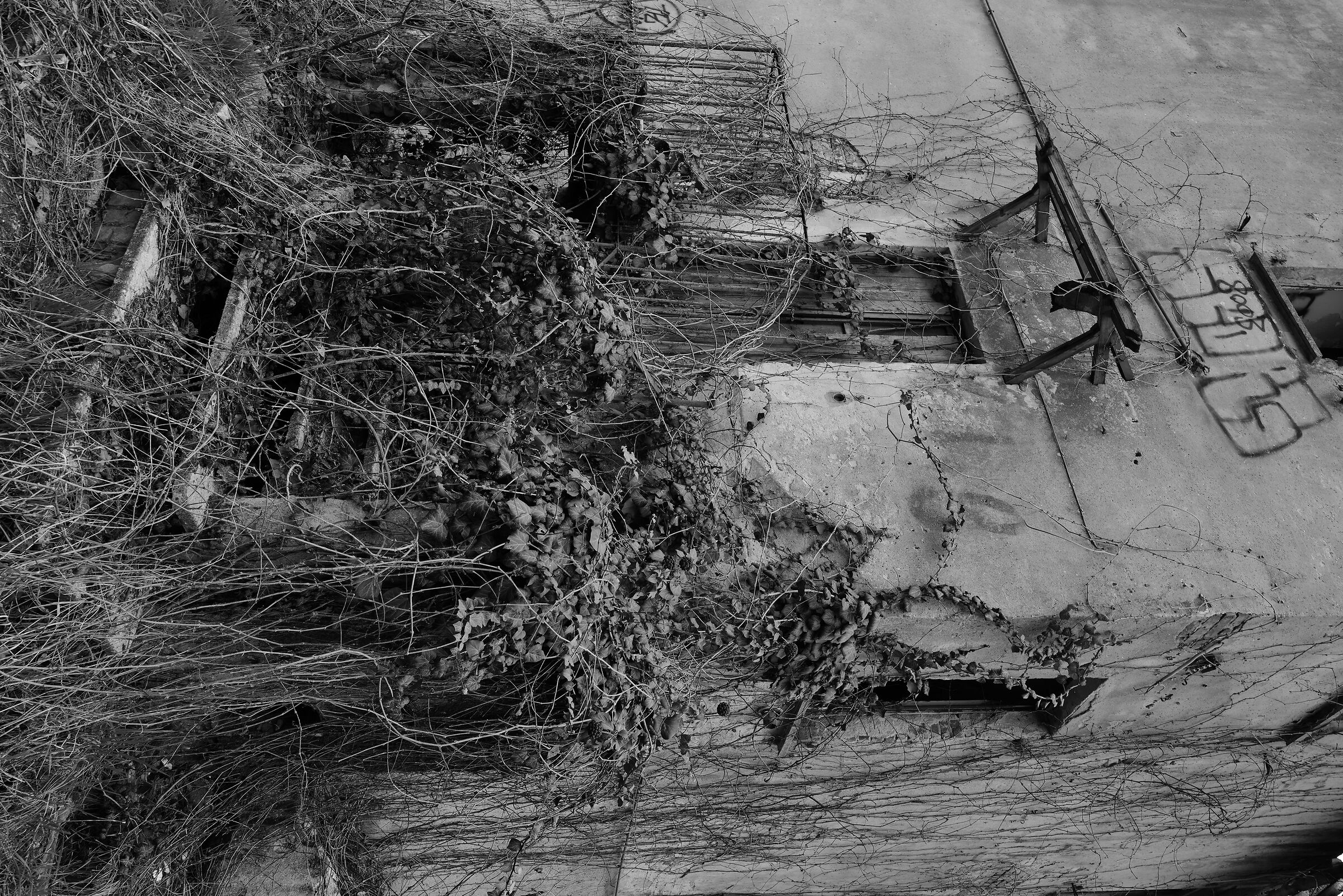 Cascina Boscone Vecchio