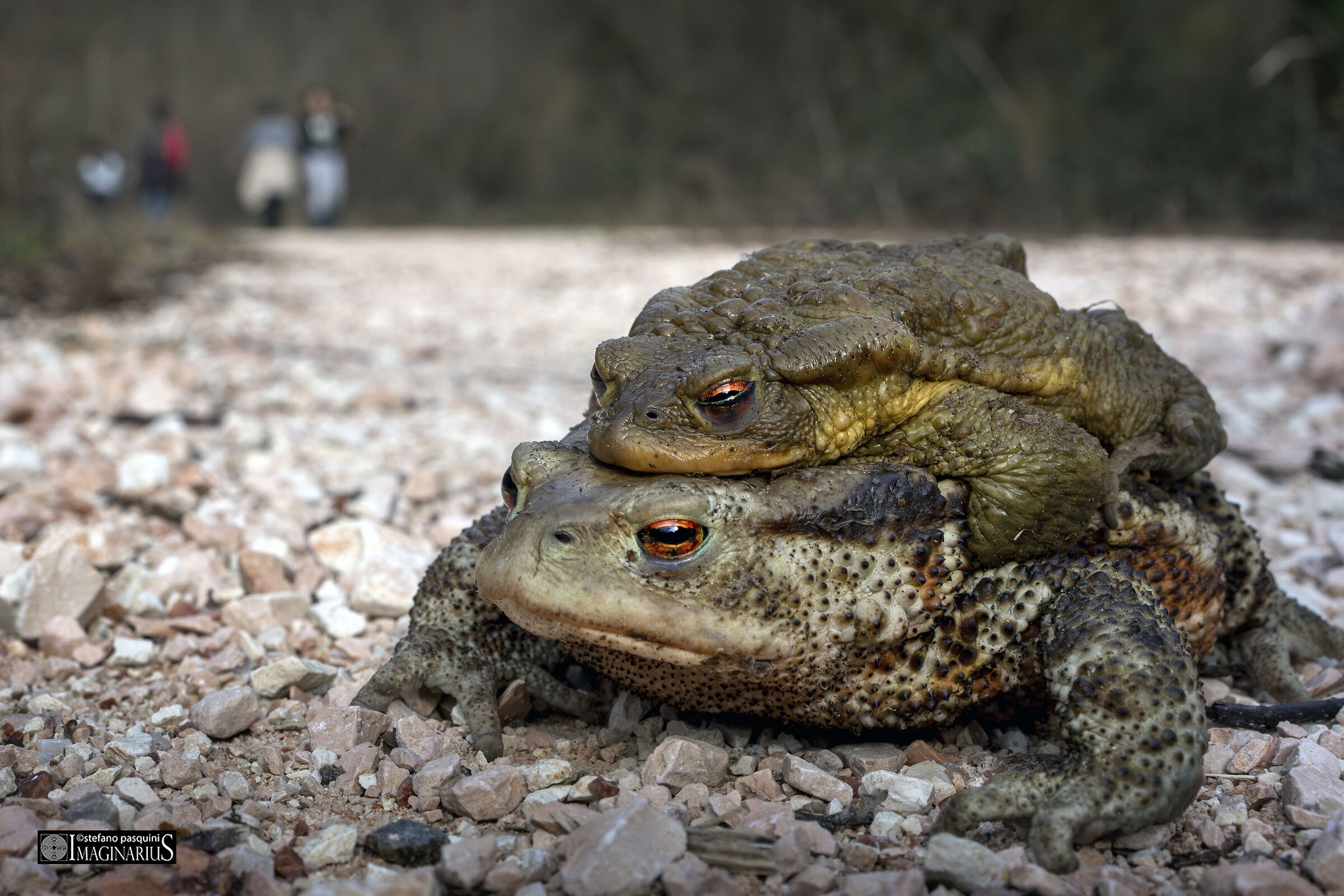 "Non è il momento, abbiamo visite"