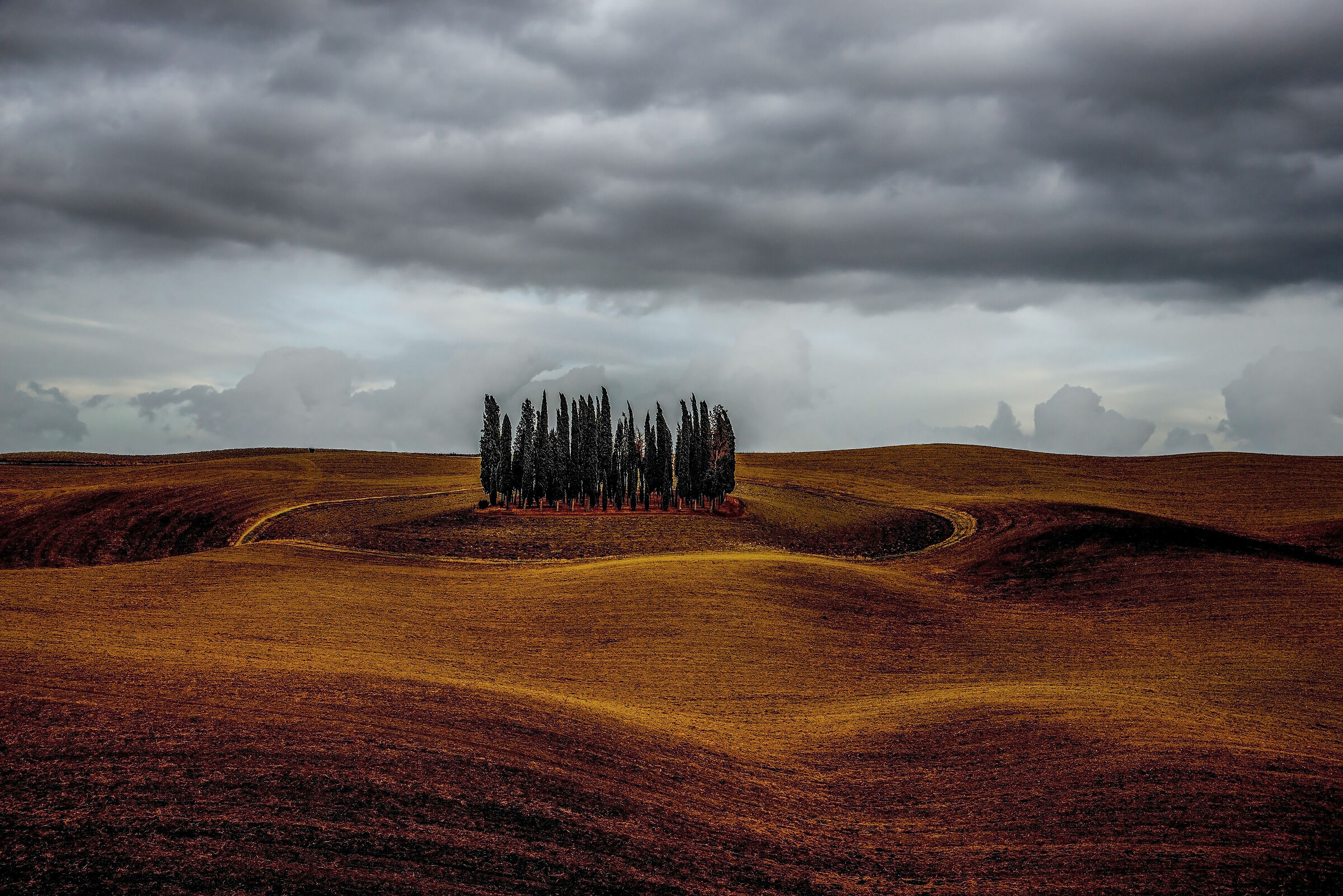 Tuscan classic...