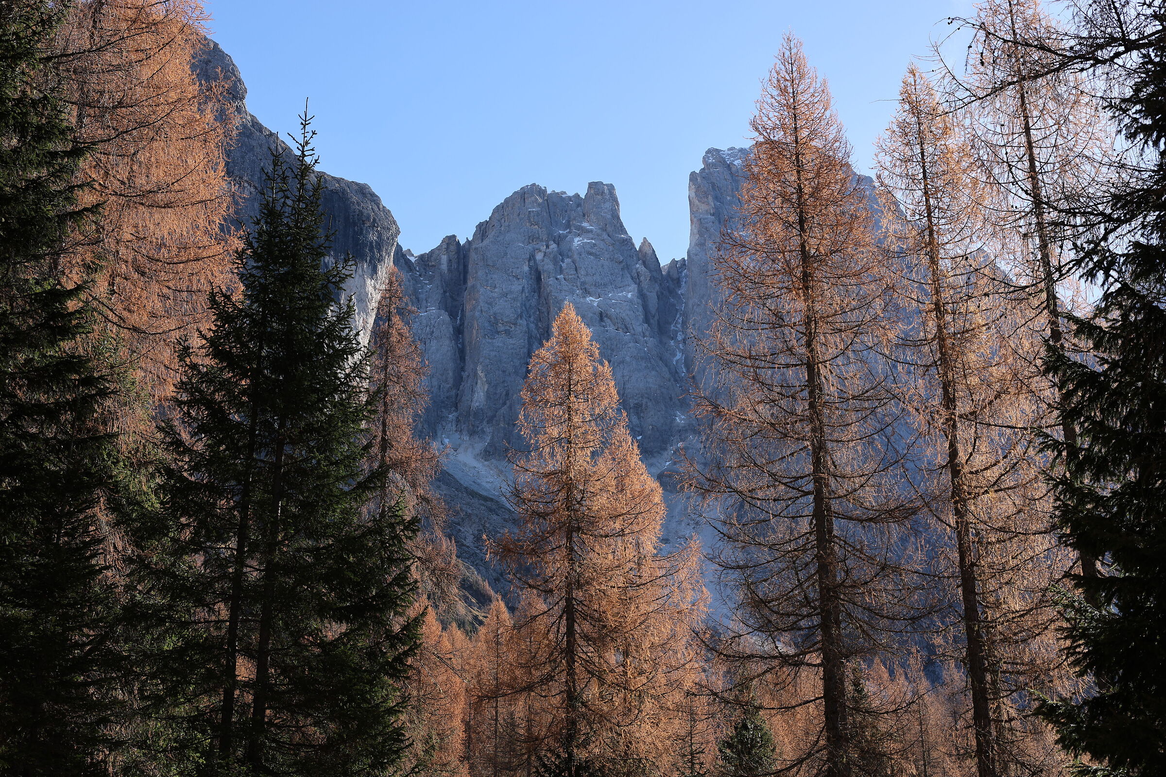Val Venegia