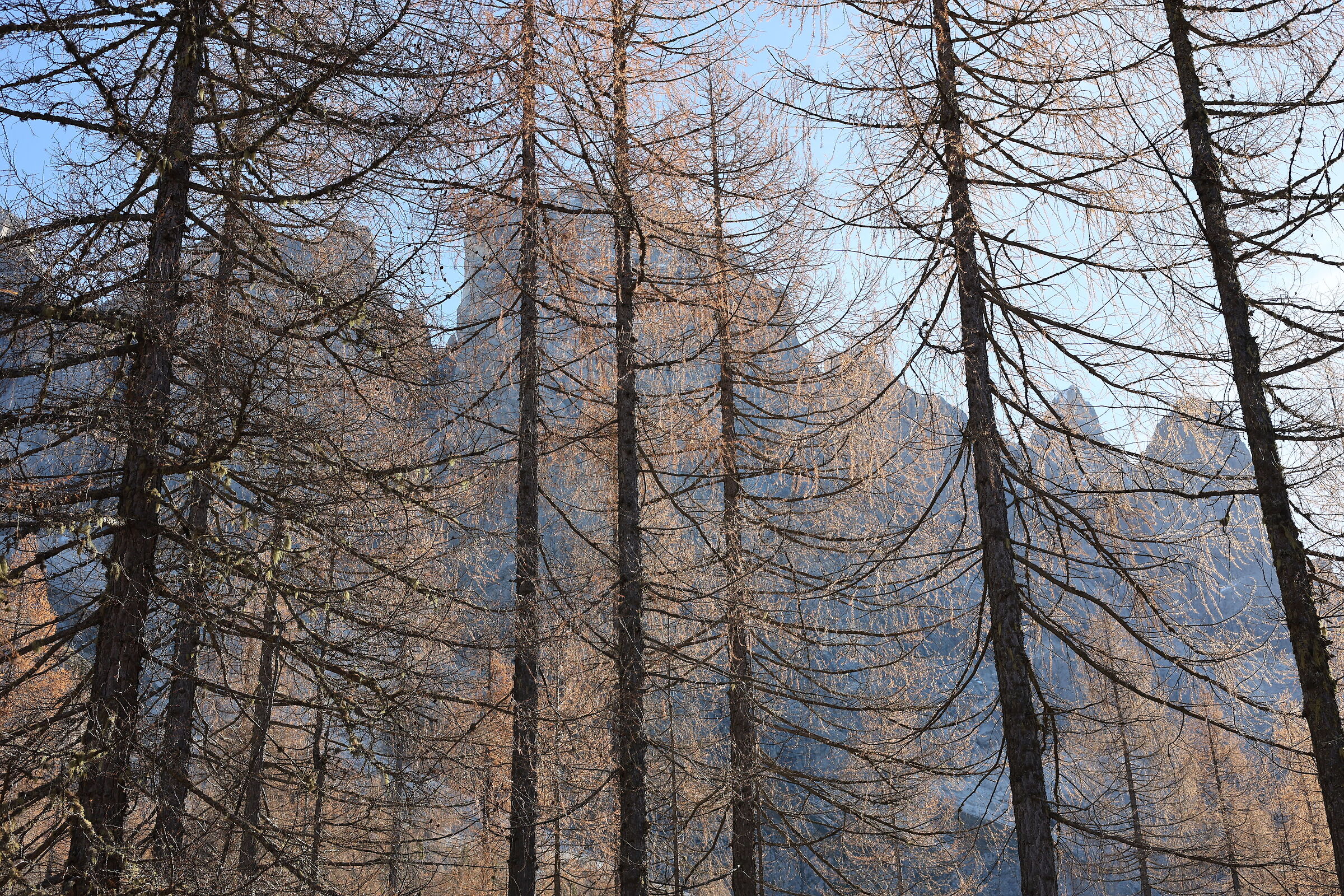 Val Venegia