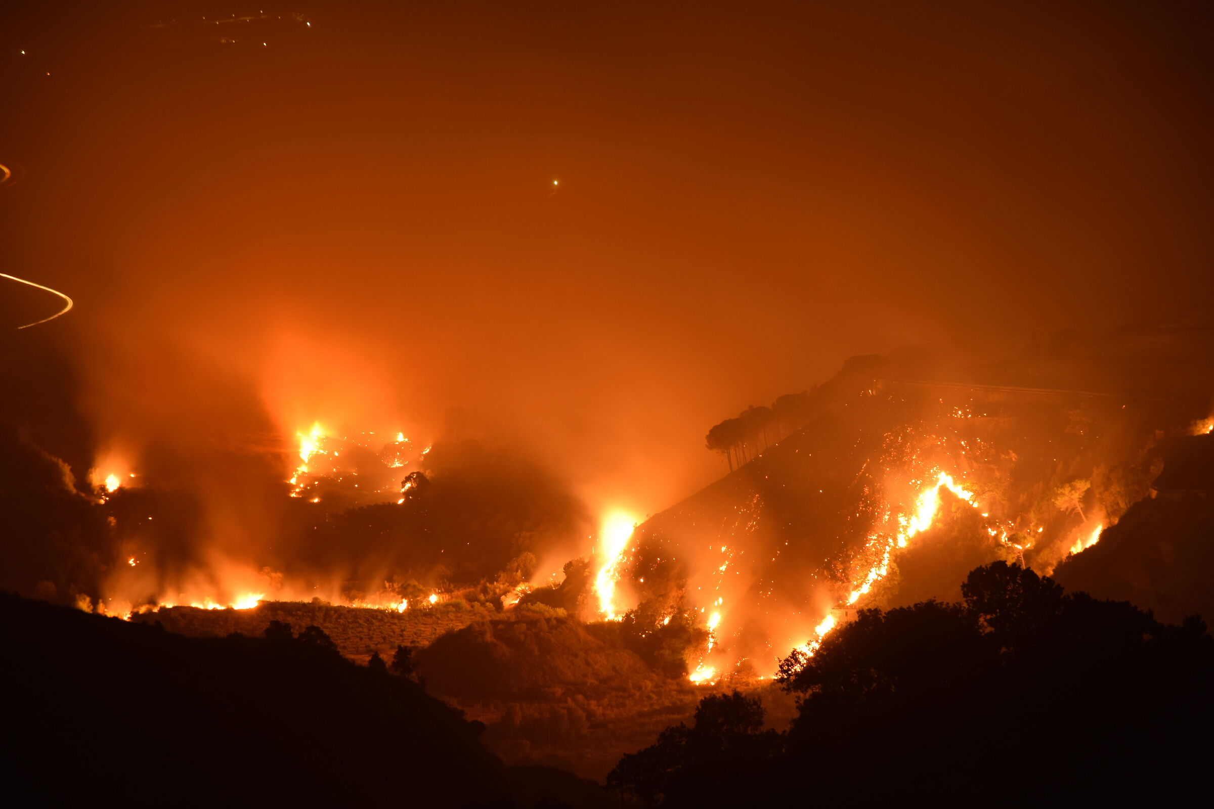 Criminal Euthanasia of Nature