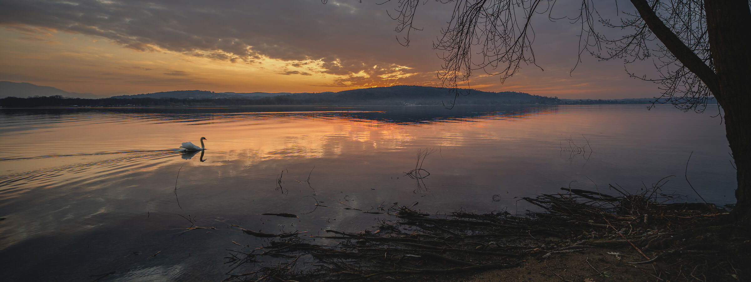 Alba quieta sul lago 1