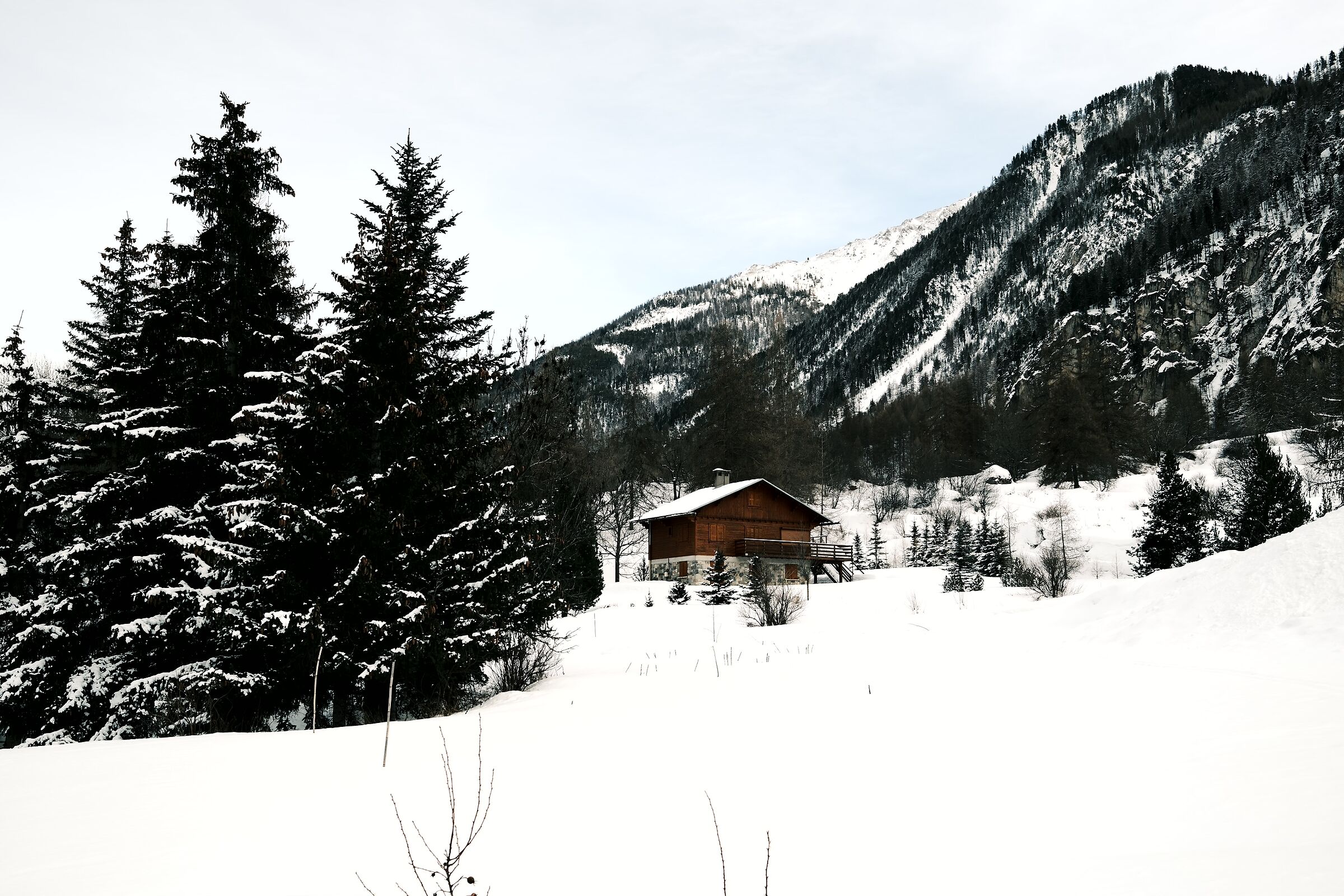 Untitled Photo