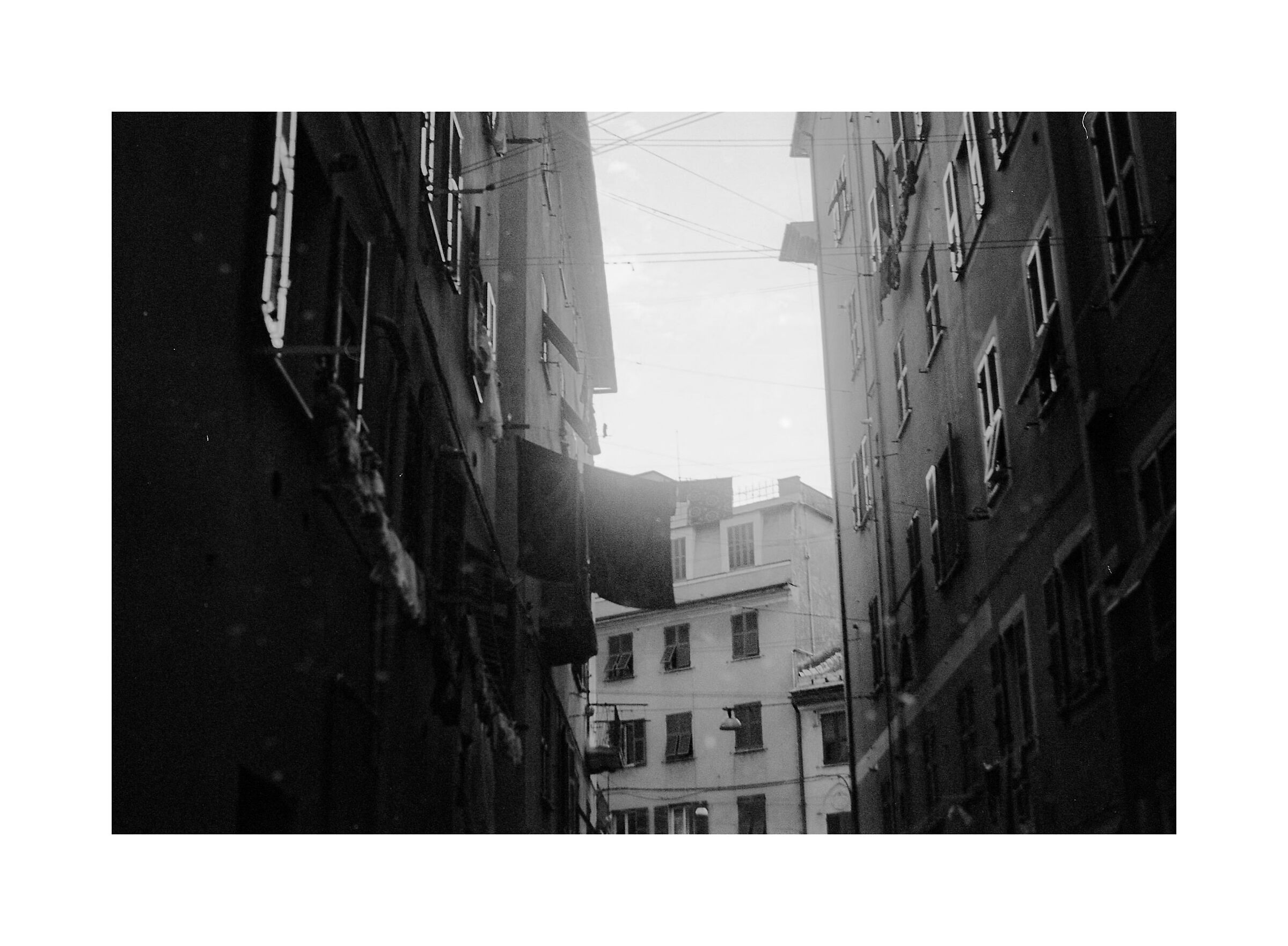 Untitled Photo
