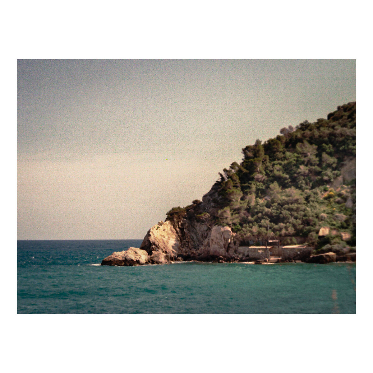 Untitled Photo