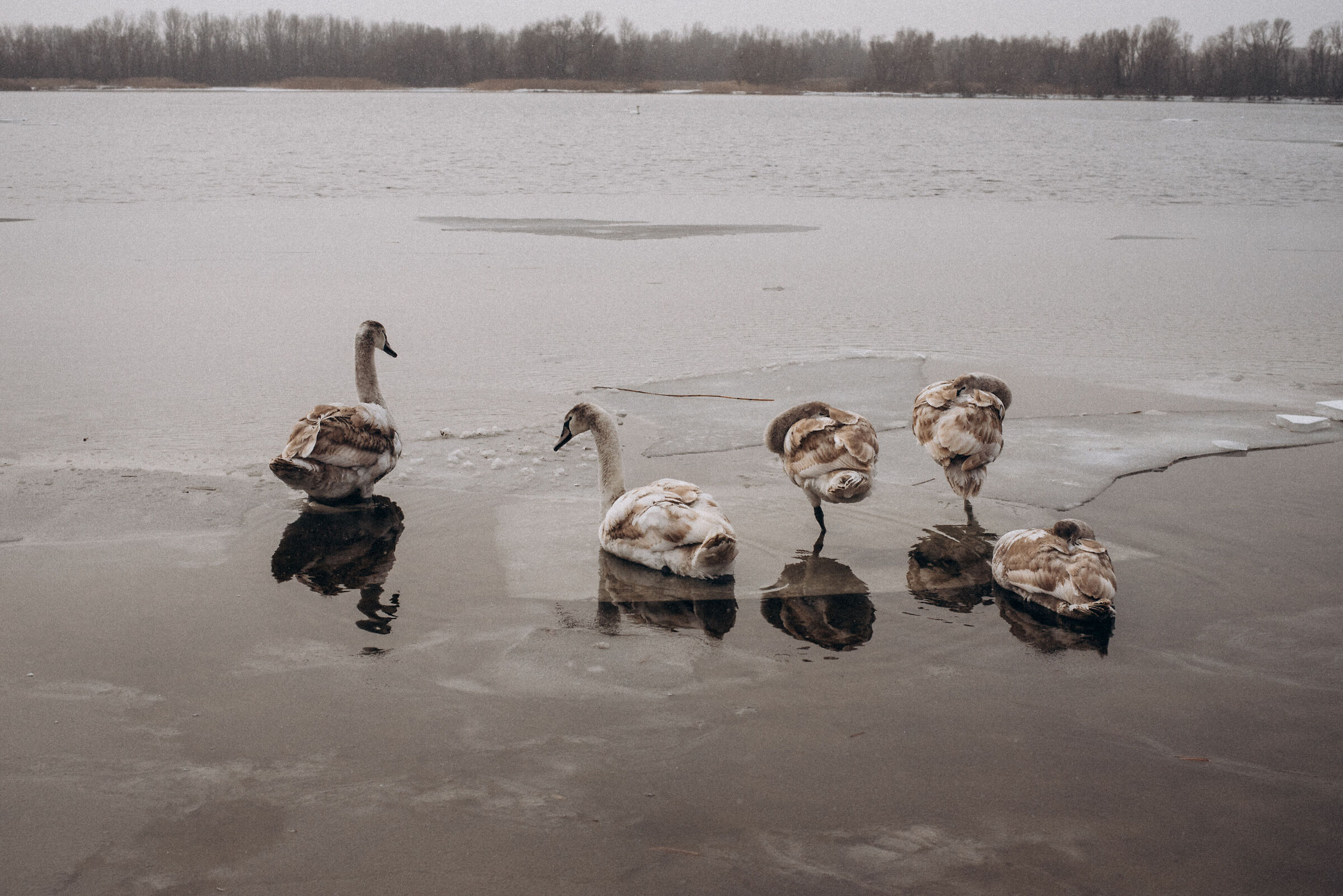 aspettando la primavera