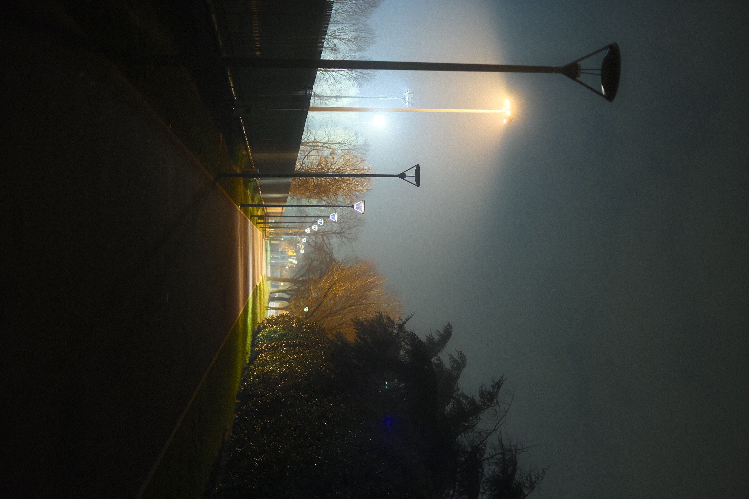 Prime prove con la nuova Fuji X-T50 2/2