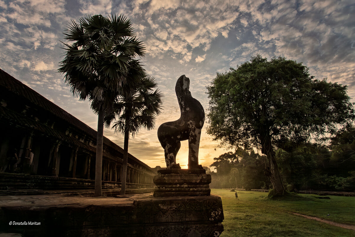 Alba ad Angkor Wat
