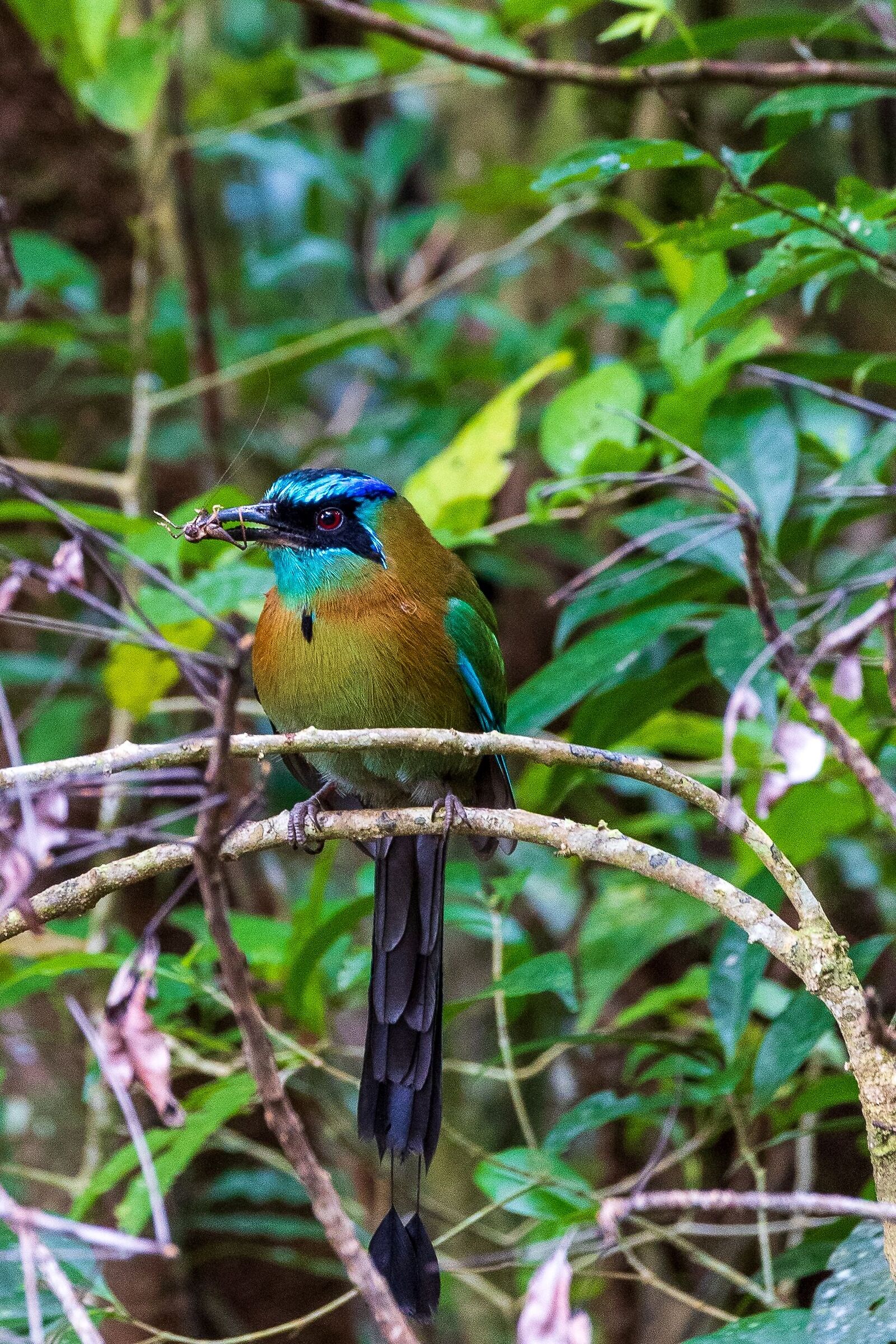 Breakfast guaranteed