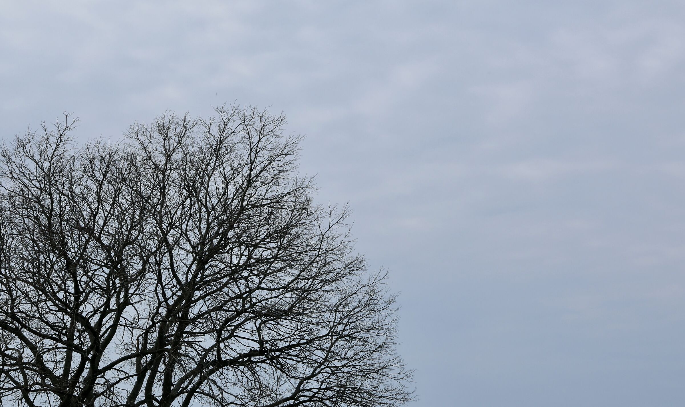 aspettando la primavera