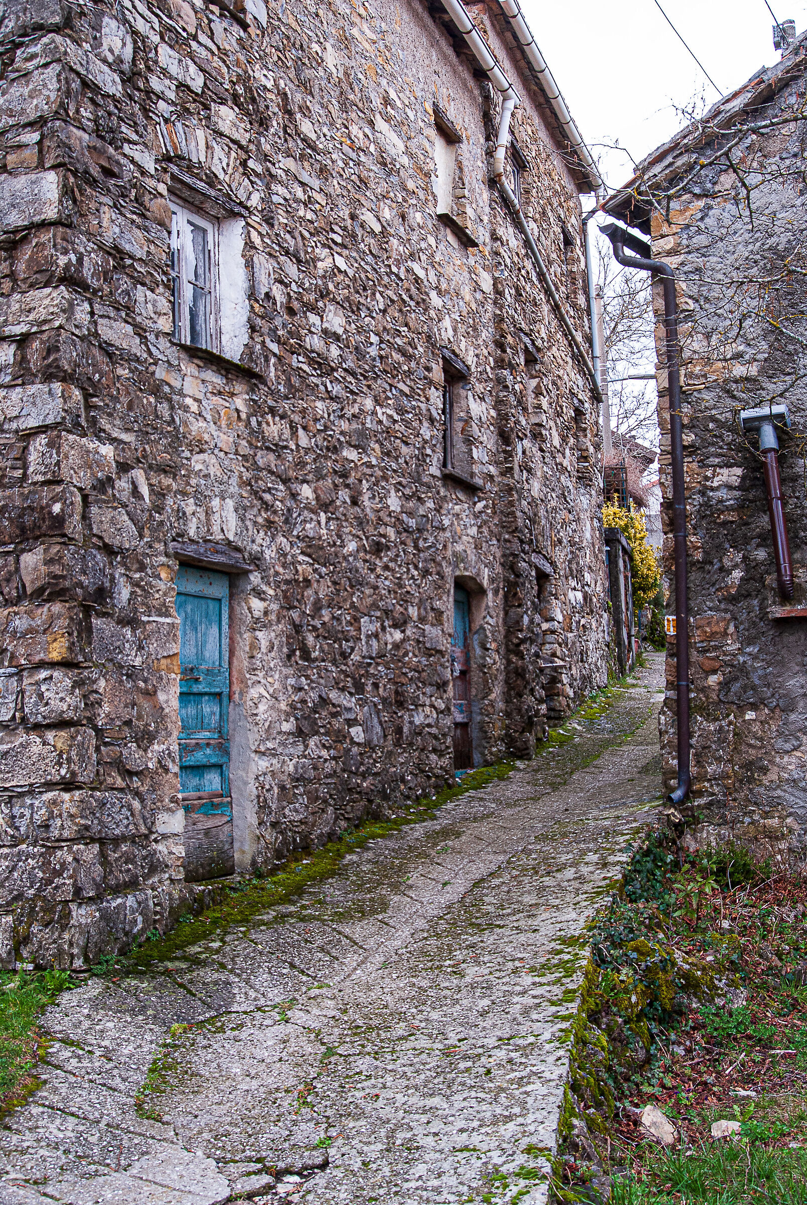Fallarosa (Hamlet of Torriglia)