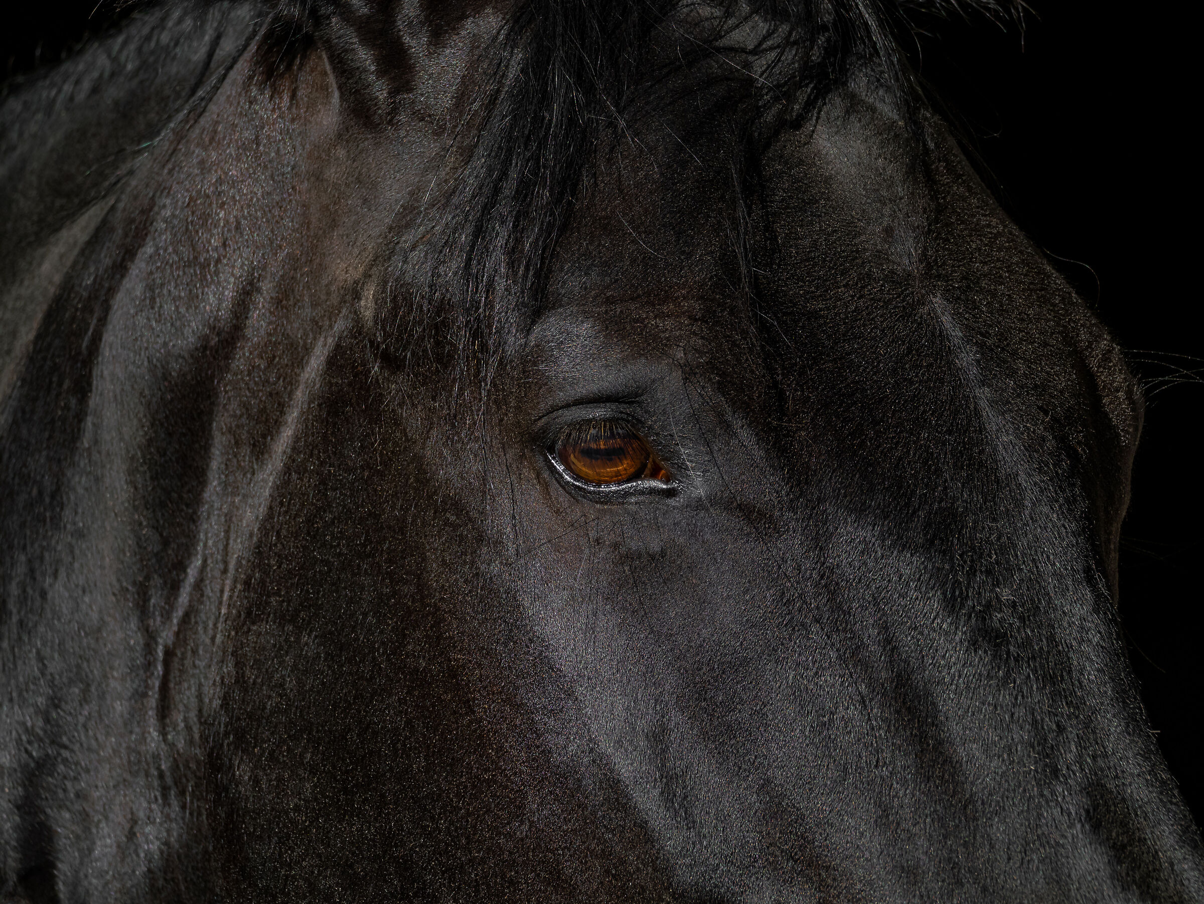 Welcome back Black...