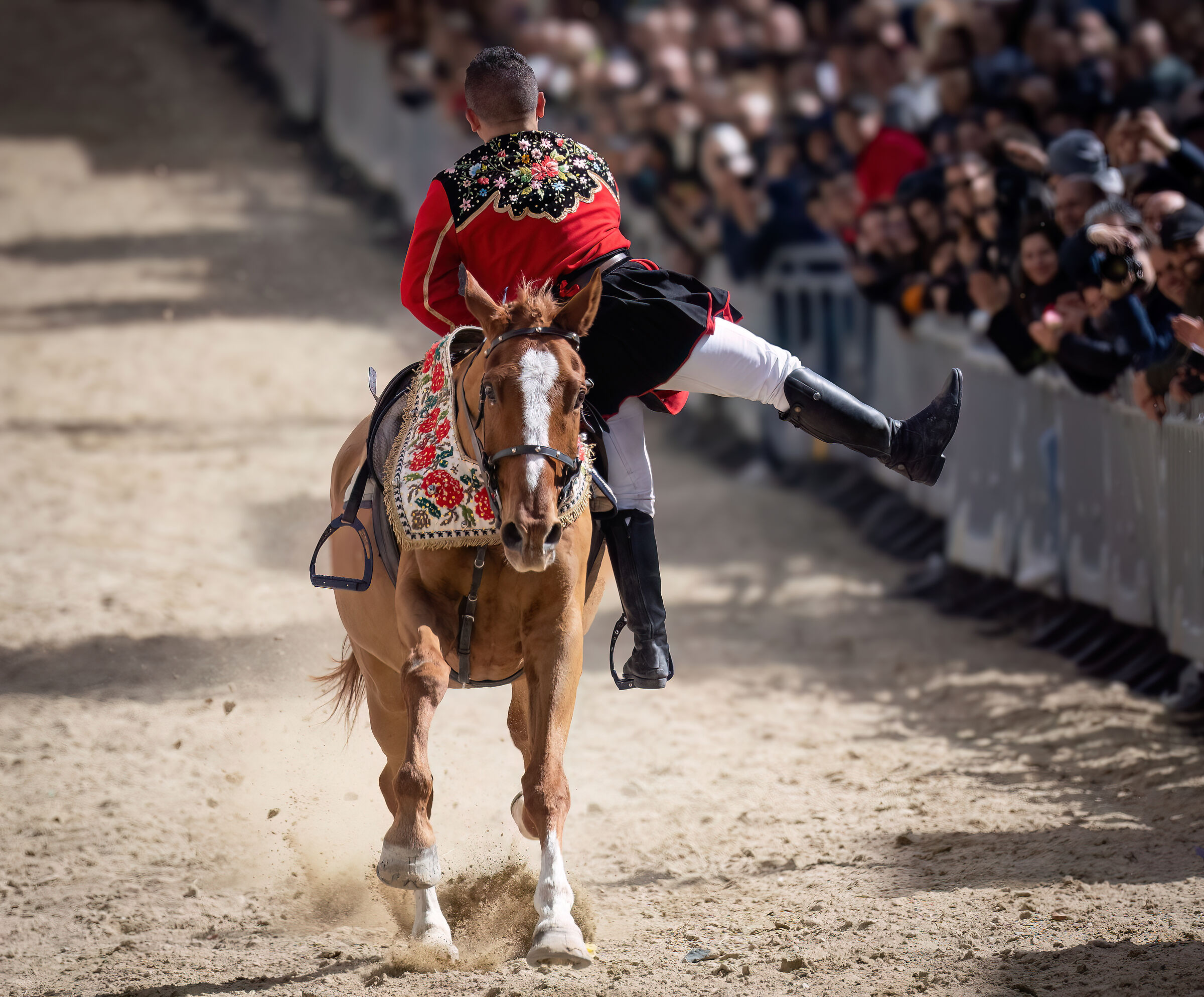 Bonorvese Carnival